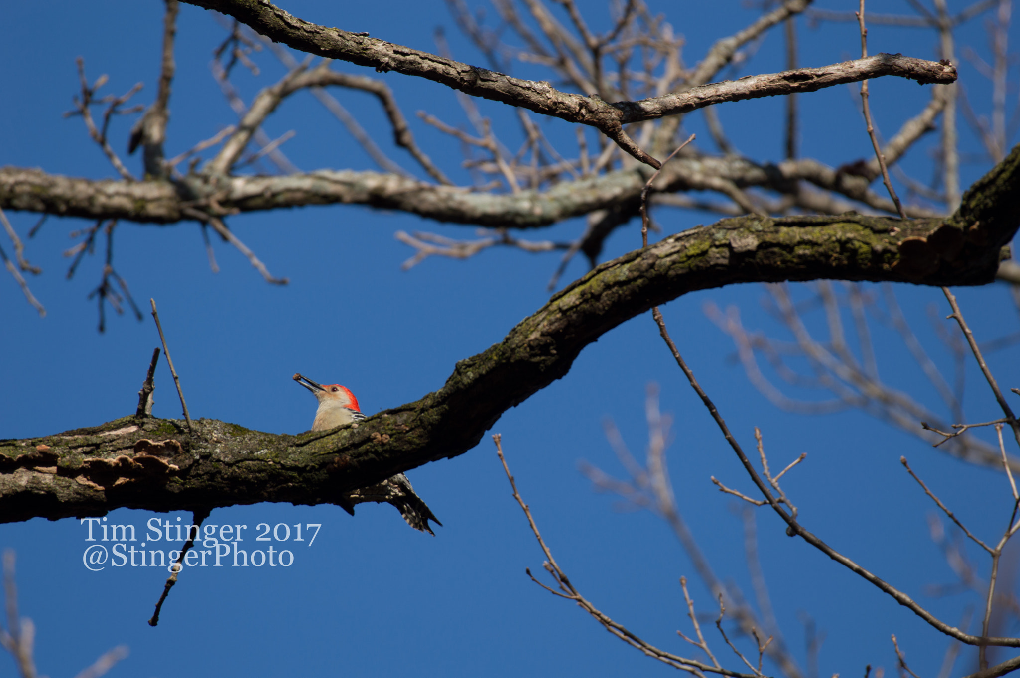 Nikon AF-S Nikkor 200-500mm F5.6E ED VR sample photo. Busy morning photography