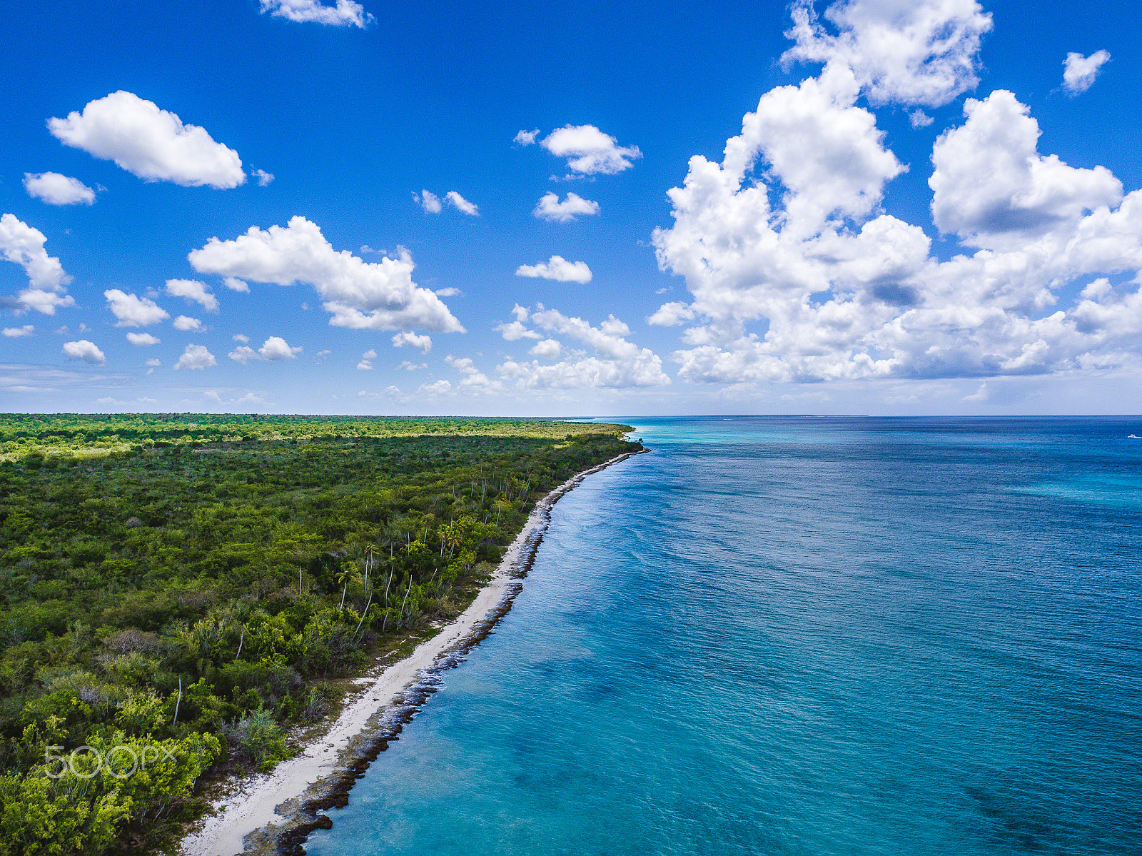 DJI FC550 + OLYMPUS M.12mm F2.0 sample photo. Drfromsky - leo arturo martinez photography