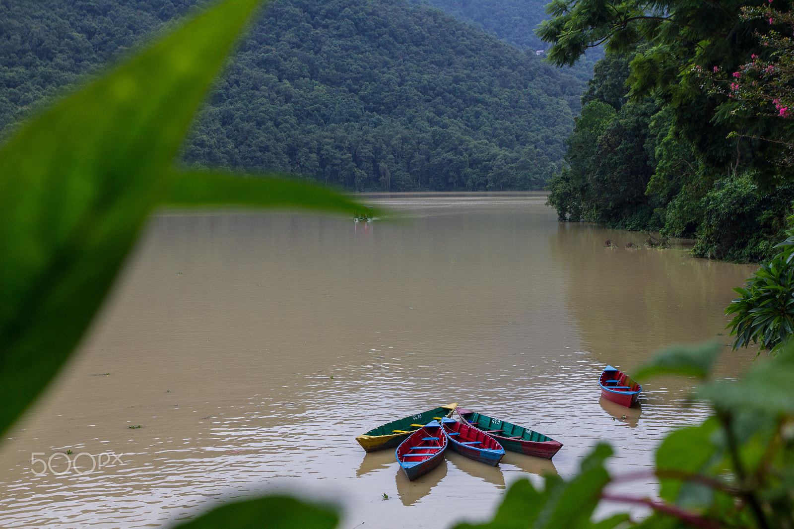 Canon EOS 550D (EOS Rebel T2i / EOS Kiss X4) + Canon EF 17-40mm F4L USM sample photo. Boats thru the leaves photography