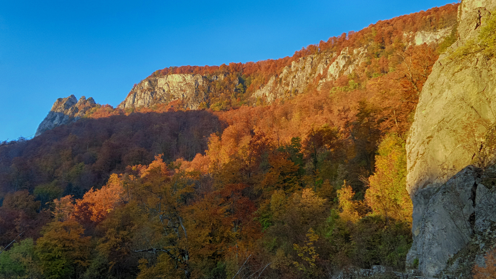 Samsung Galaxy K Zoom sample photo. Autumn in buila photography