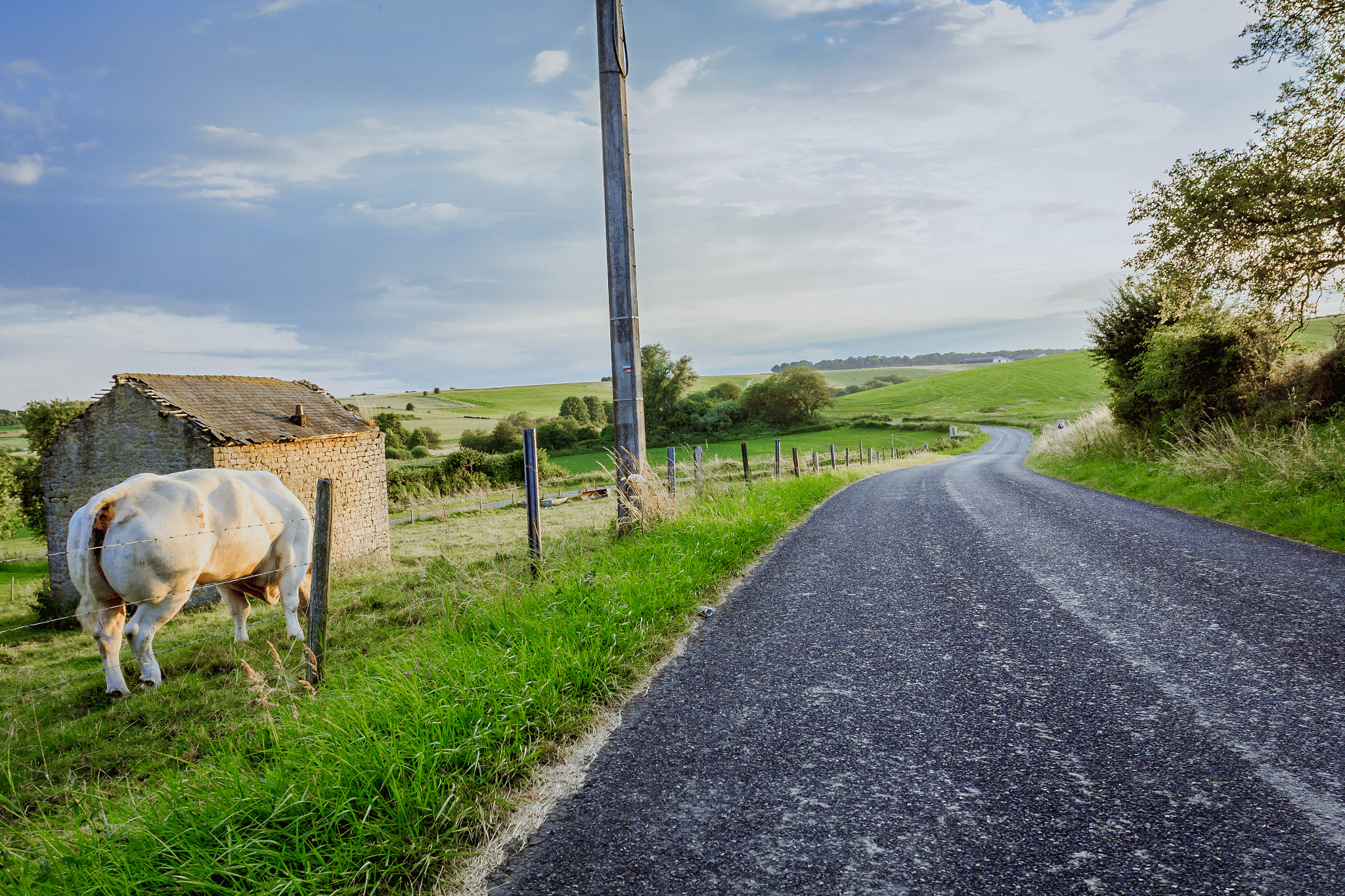 Canon EOS 550D (EOS Rebel T2i / EOS Kiss X4) sample photo. Belgium countryside photography