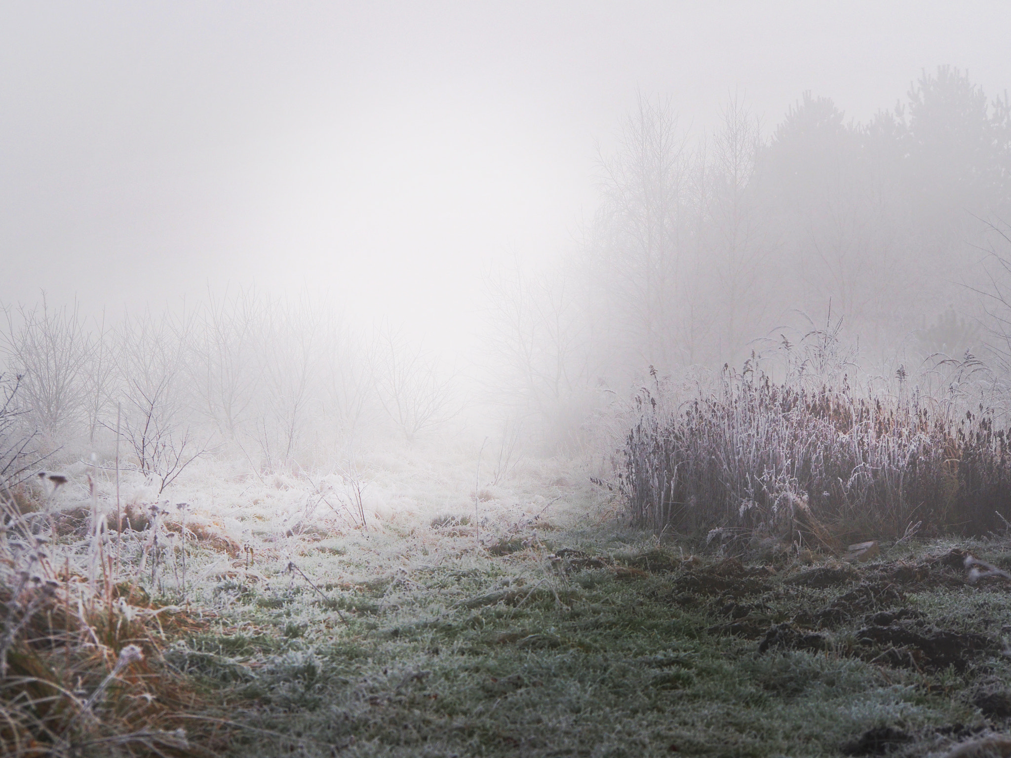 Olympus PEN E-PL5 sample photo. Winter morning photography