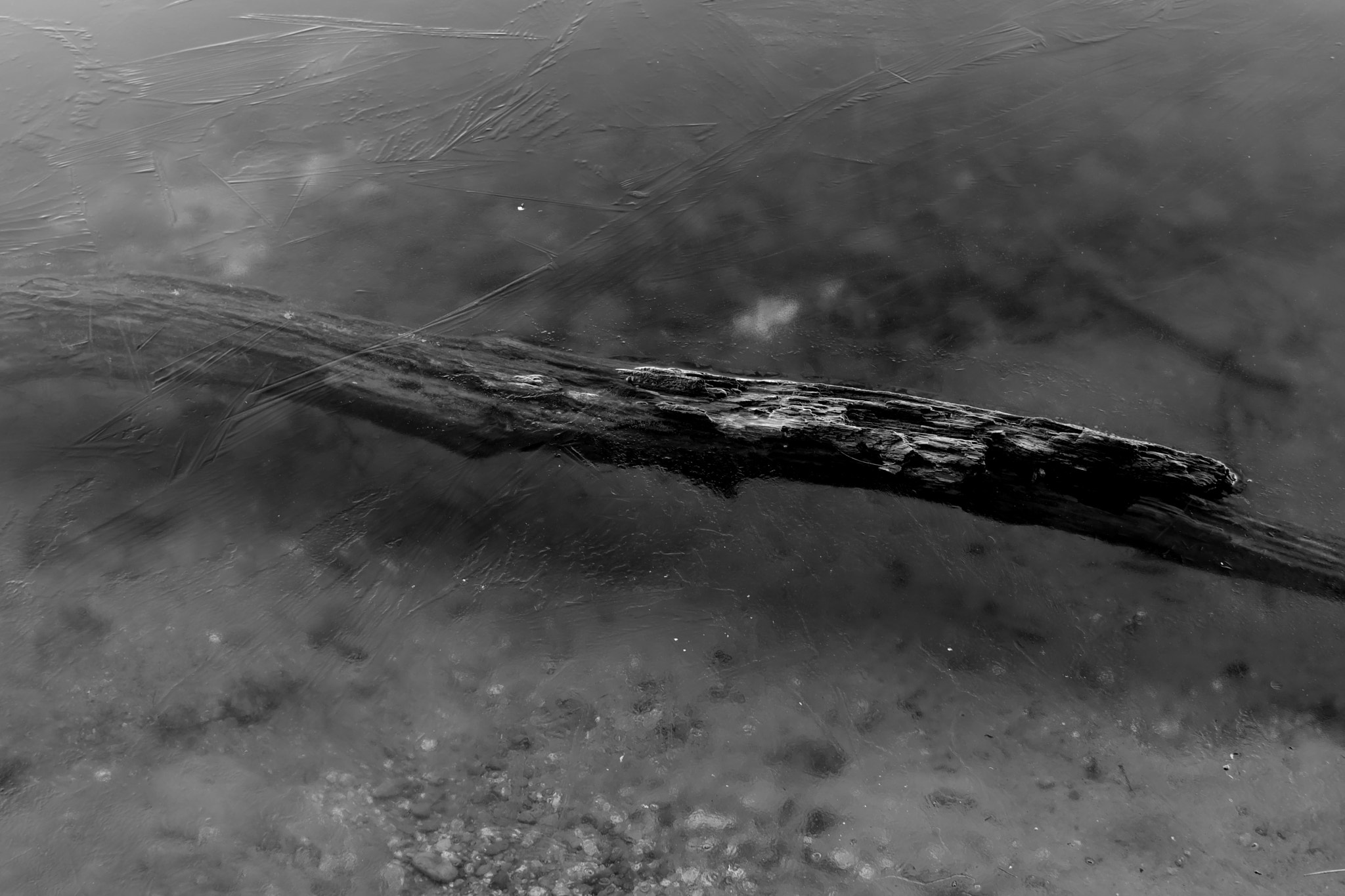 Fujifilm X-T2 + ZEISS Touit 32mm F1.8 sample photo. Frozen pond photography