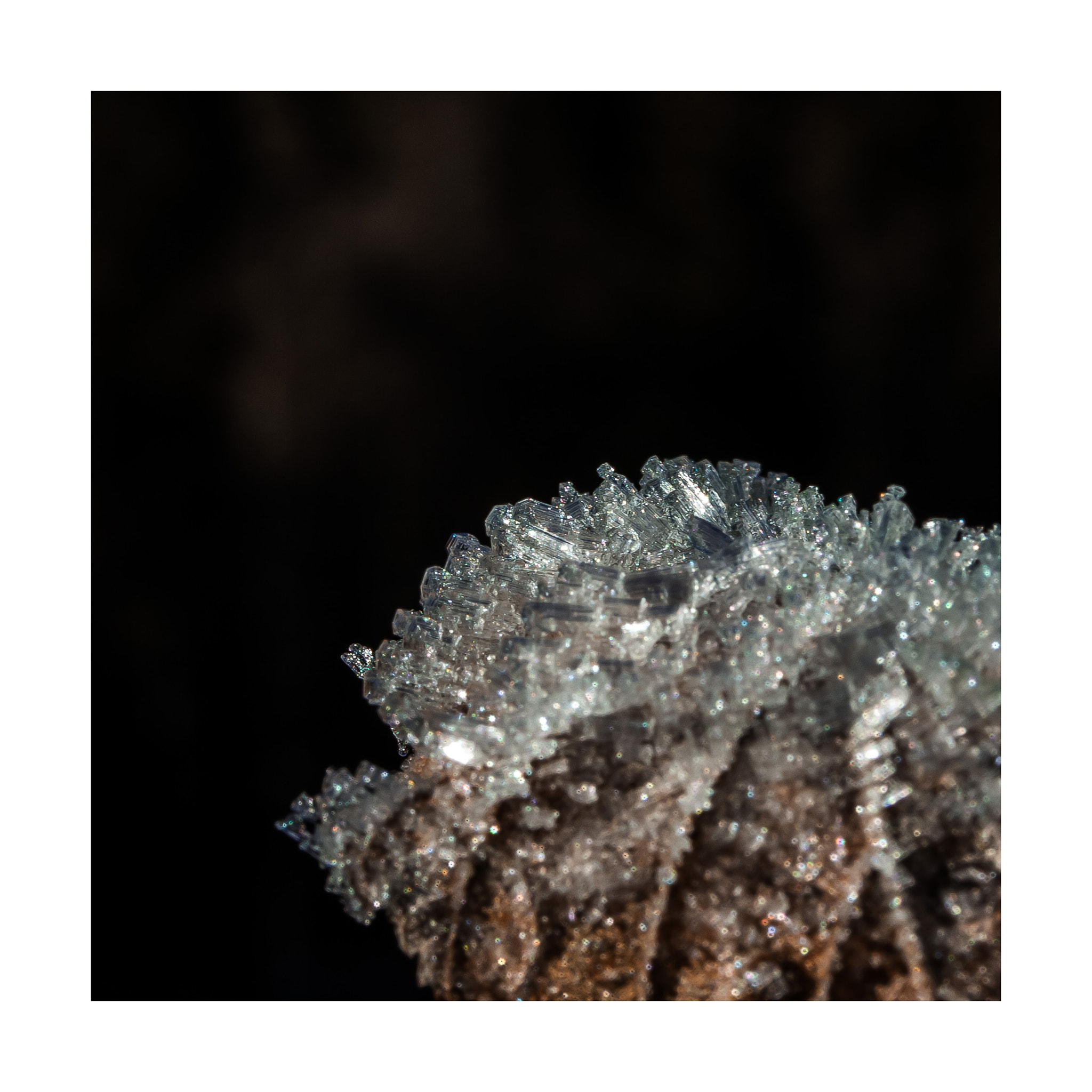 Canon EF-S 60mm F2.8 Macro USM sample photo. Frost photography
