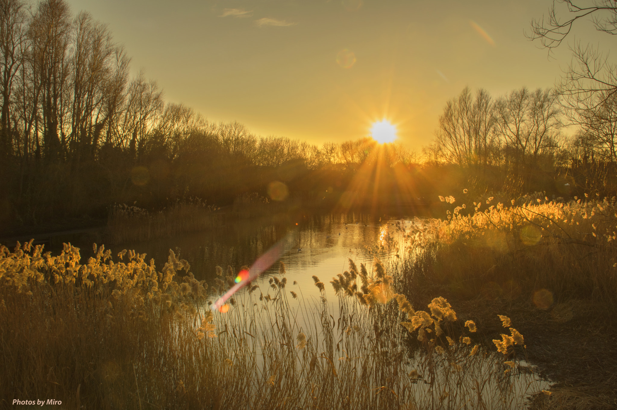 Pentax K-3 II + Tamron AF 18-200mm F3.5-6.3 XR Di II LD Aspherical (IF) Macro sample photo. Golden end of a day photography