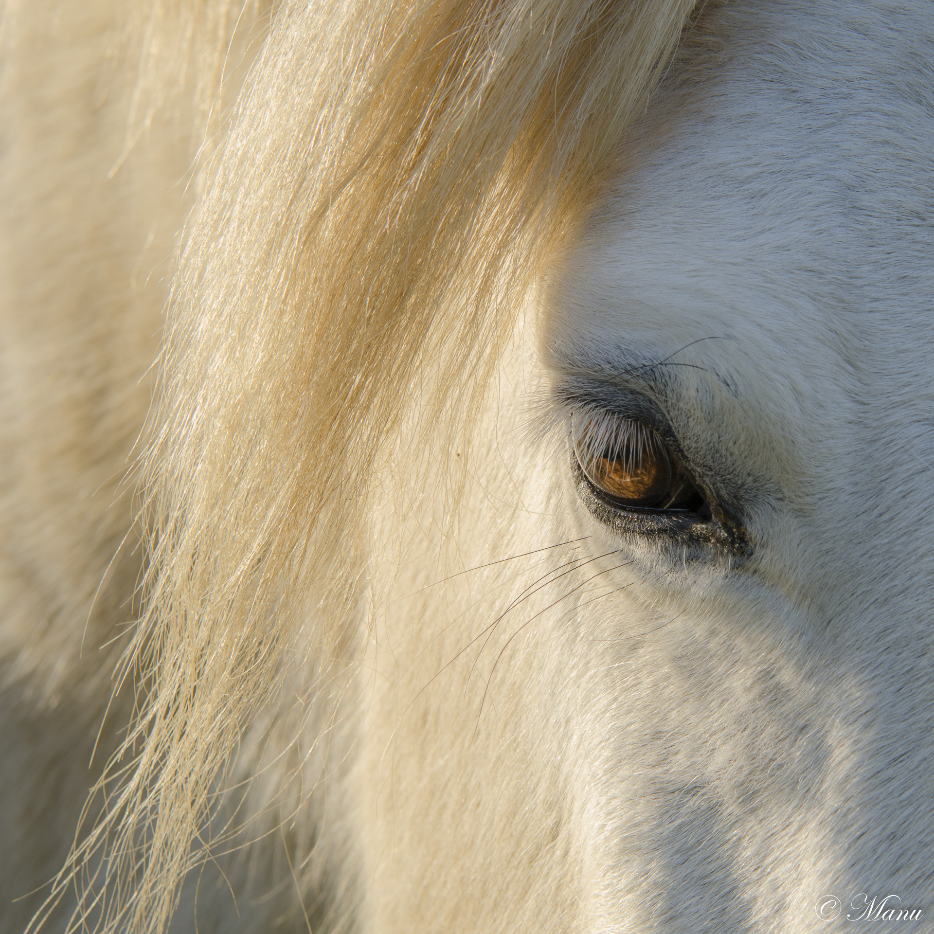 Nikon AF-S Nikkor 24-70mm F2.8E ED VR sample photo. Le roc aux loups photography