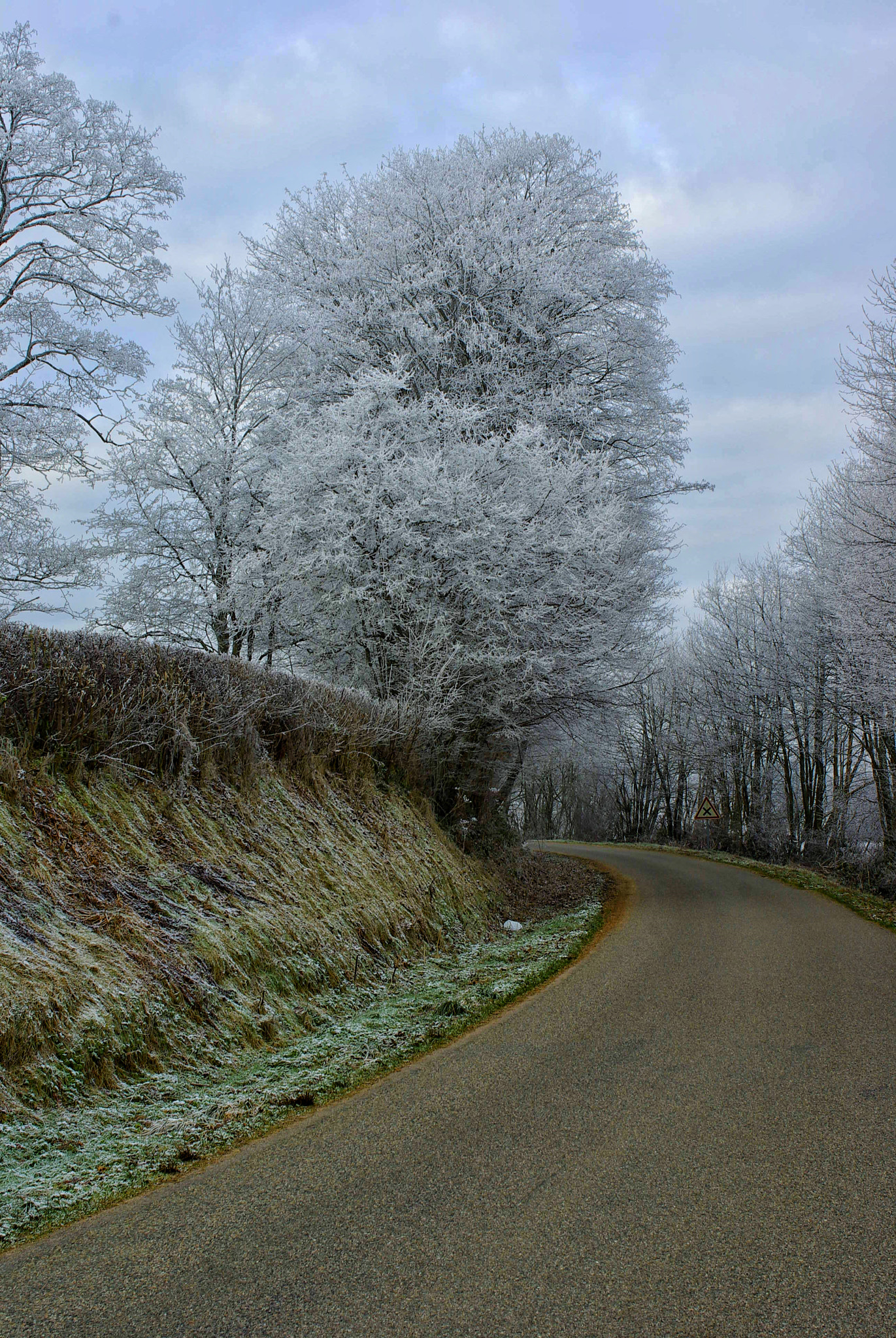 Pentax K10D sample photo. Minus 18c in the limousin, france photography