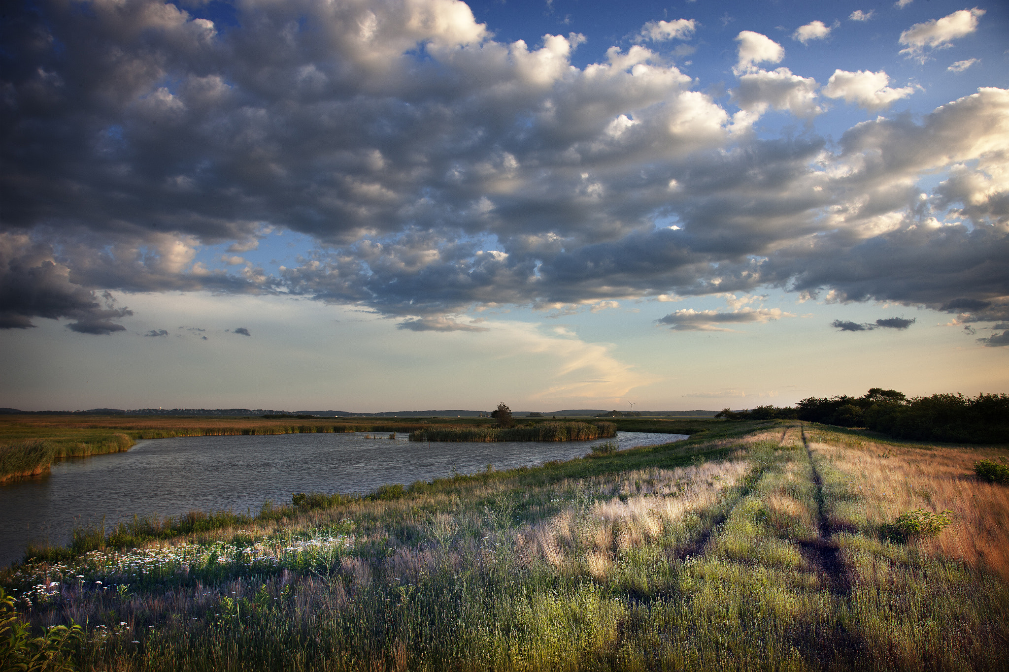 Canon EOS-1Ds Mark III sample photo. Plum island vista photography
