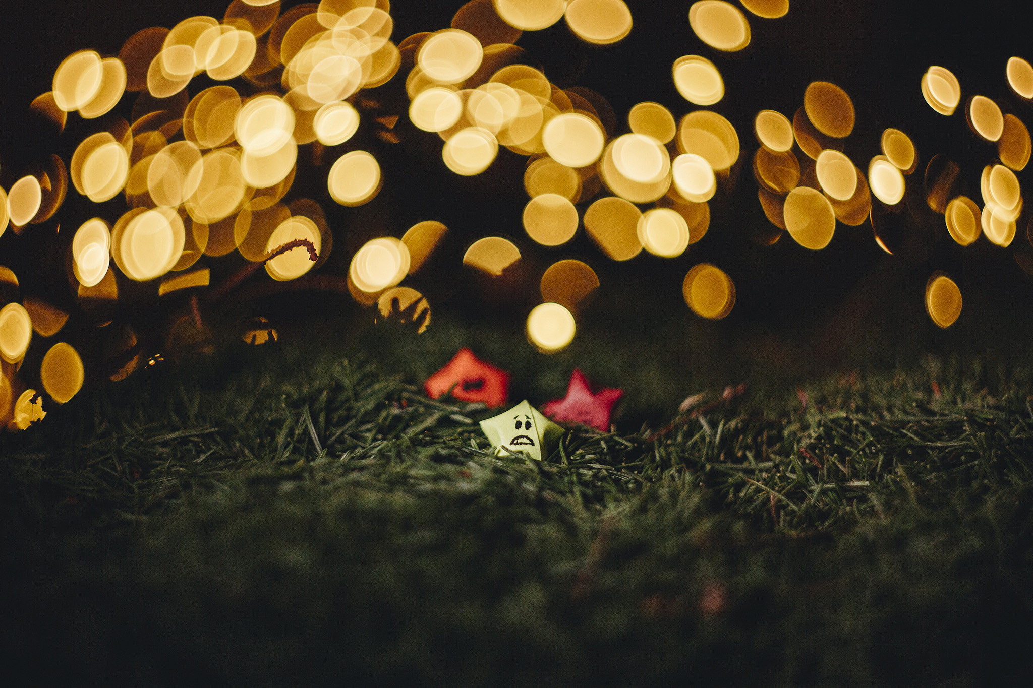 Canon EF 35-80mm f/4-5.6 sample photo. Only spikes photography