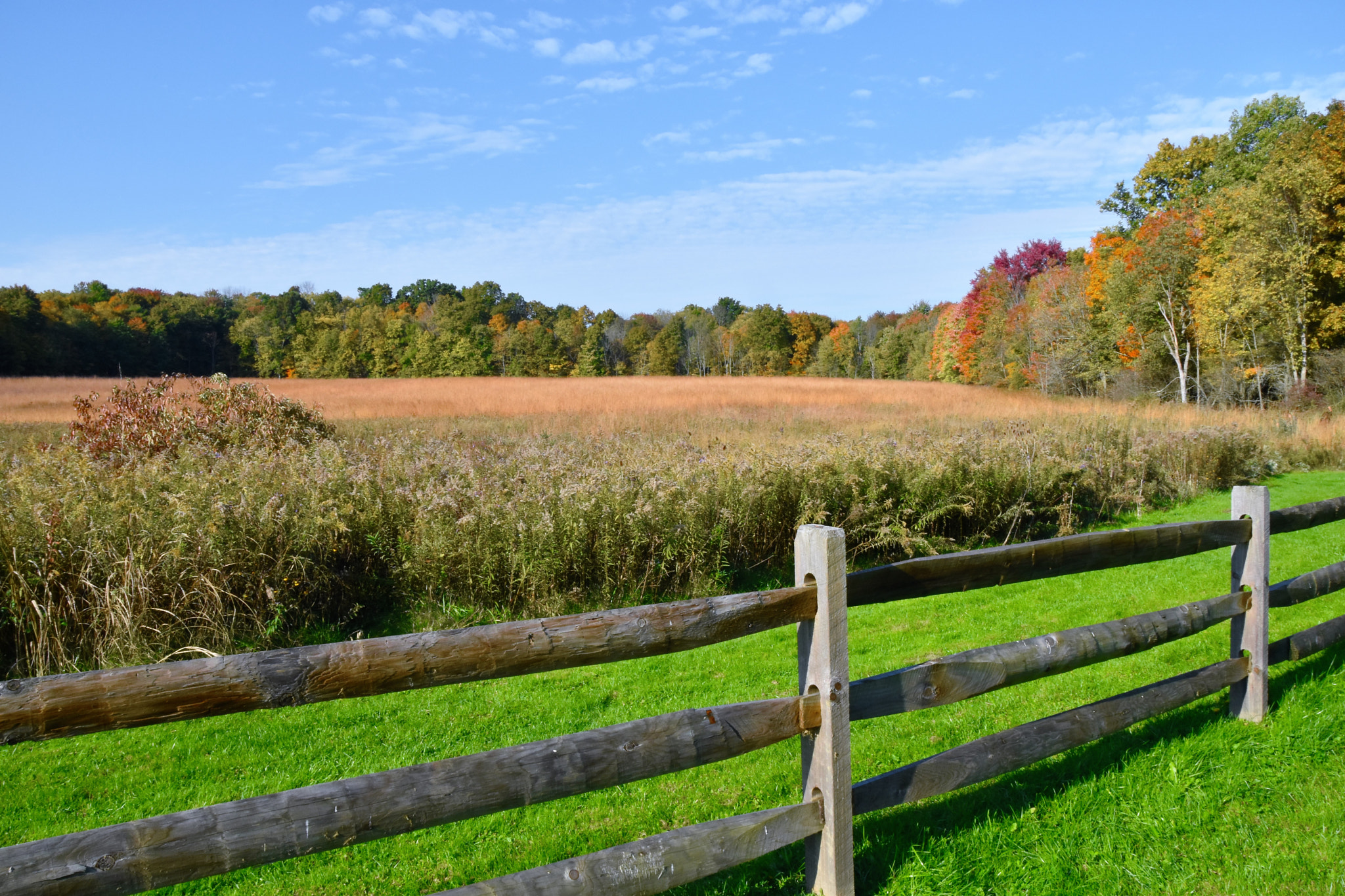 Sigma 18-250mm F3.5-6.3 DC Macro OS HSM sample photo. Fall in ohio photography