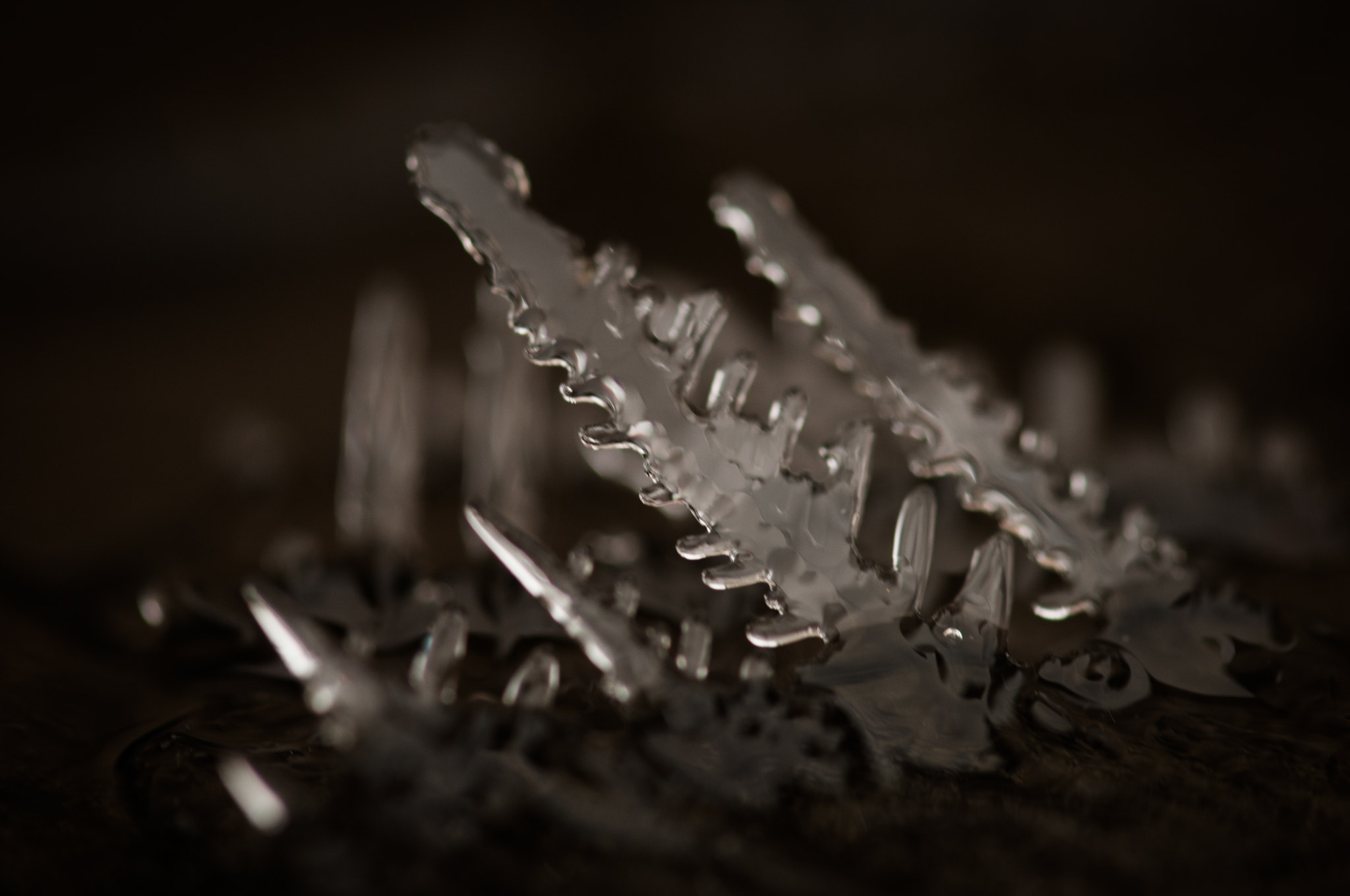 Sigma 105mm F2.8 EX DG OS HSM sample photo. Sword of ice photography