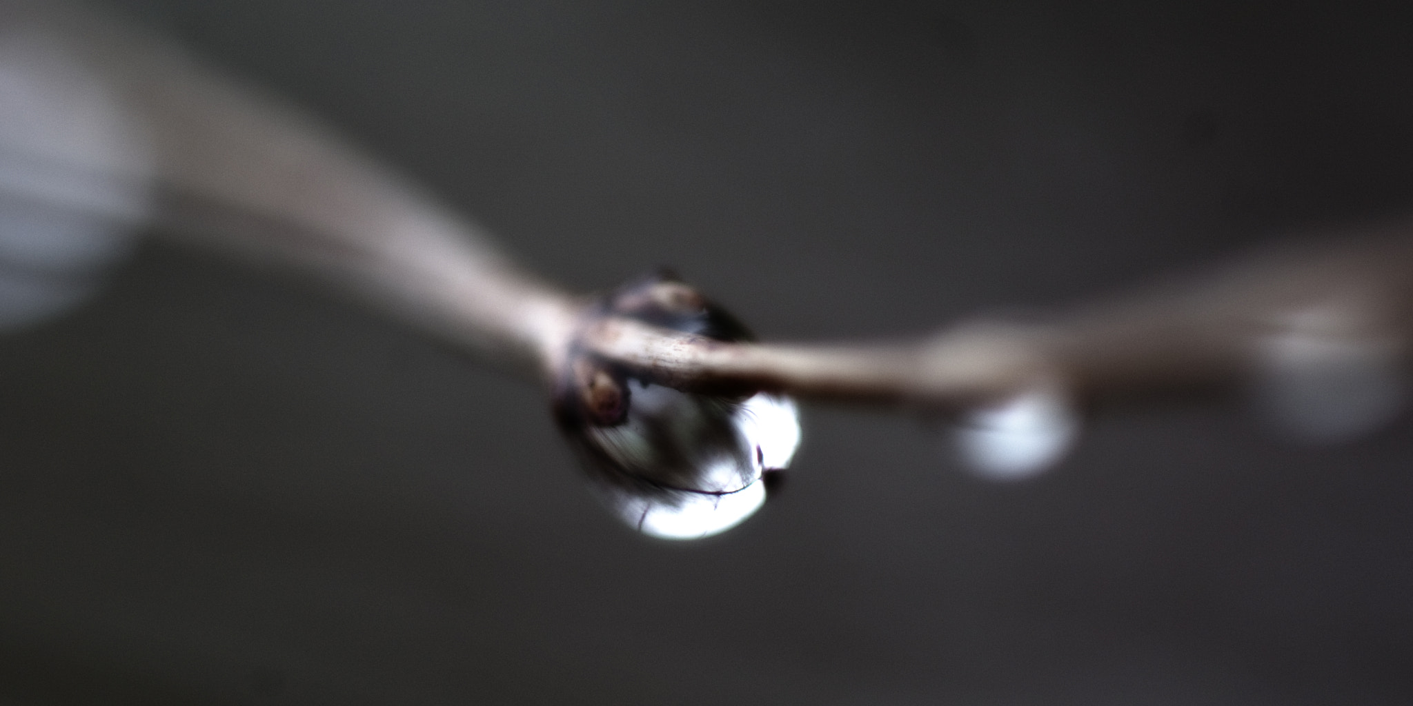 Nikon AF-S Micro-Nikkor 105mm F2.8G IF-ED VR sample photo. Winter kleuren photography