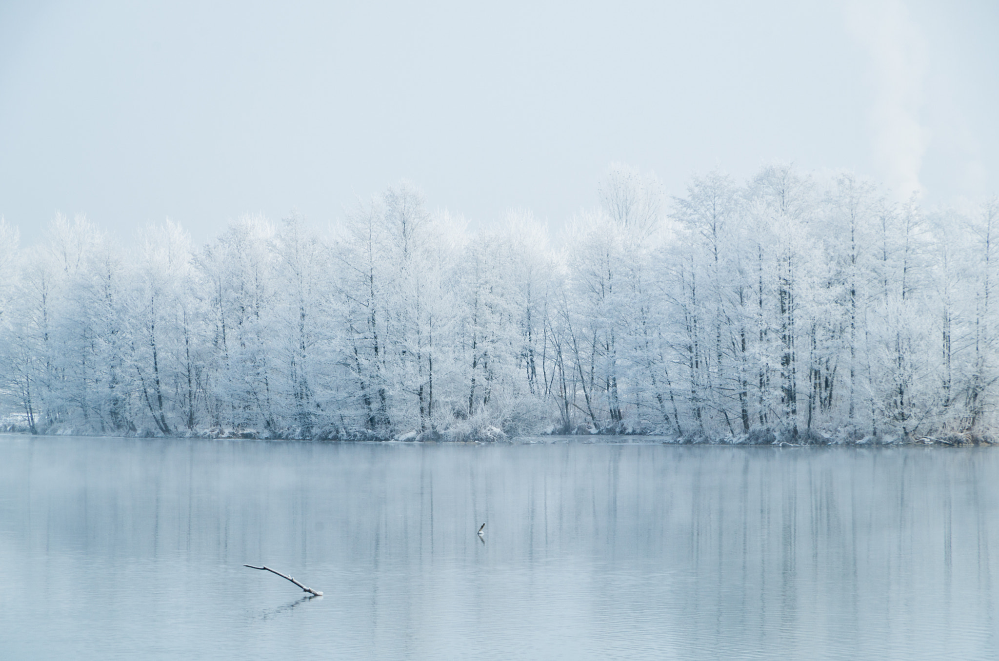 Pentax K-30 sample photo. Dressed in white photography