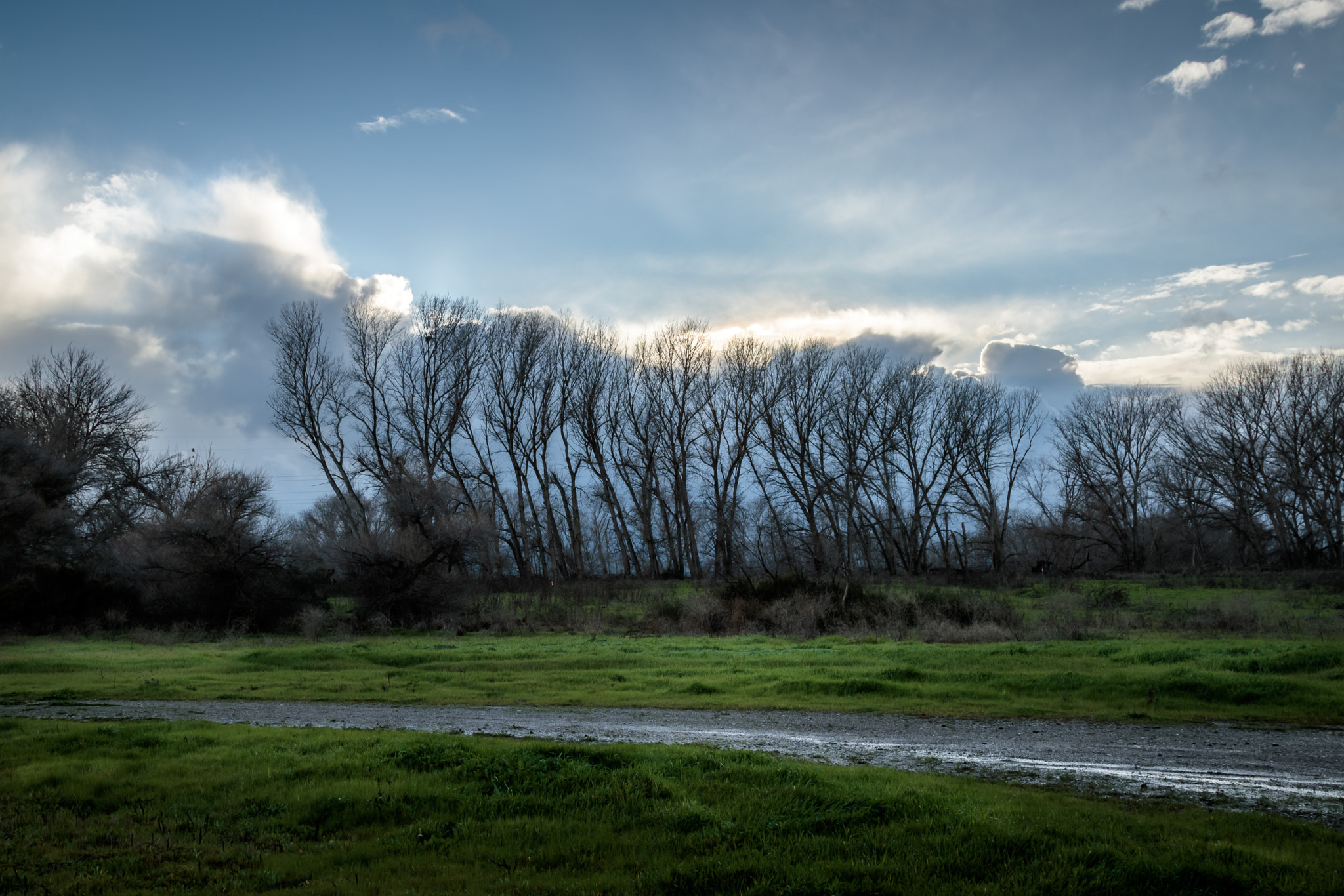 Canon EOS 760D (EOS Rebel T6s / EOS 8000D) sample photo. Rain in the california central valley photography