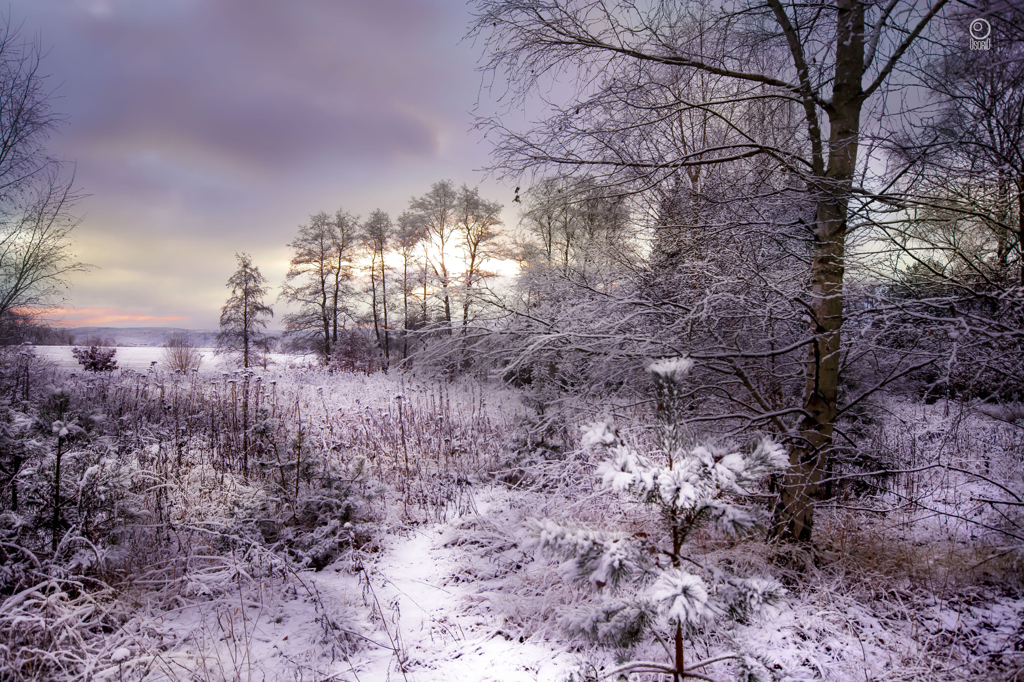 Sigma 10-20mm F4-5.6 EX DC HSM sample photo. Frozen hill photography