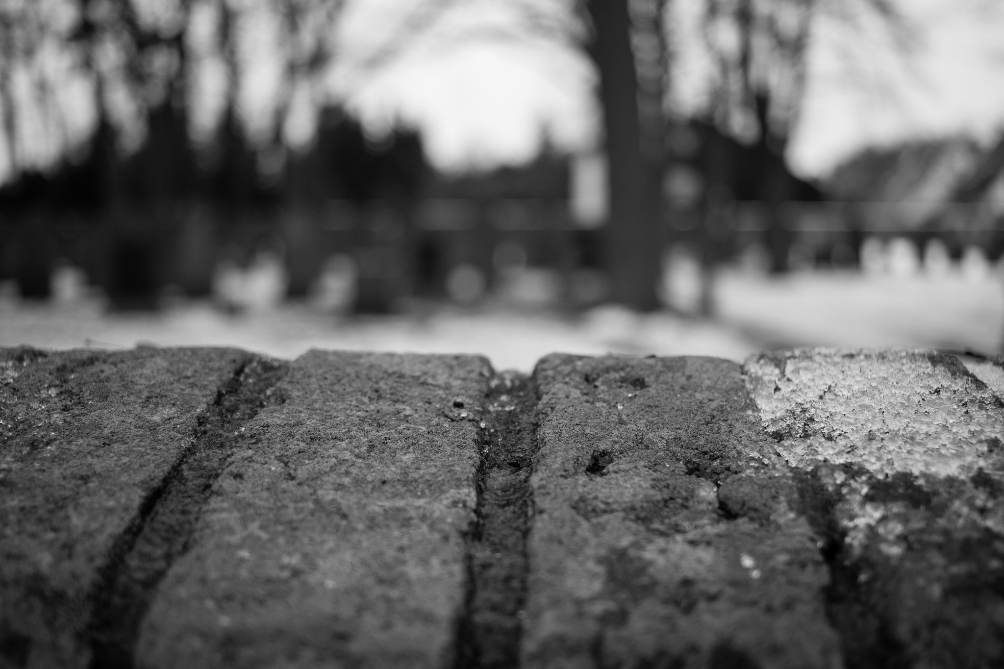 Canon EF-S 24mm F2.8 STM sample photo. Cemetery photography