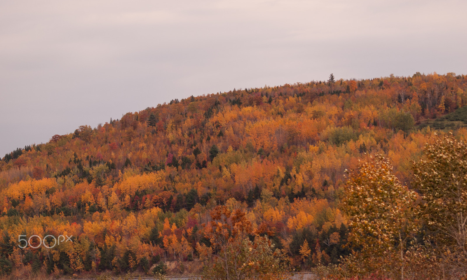 Olympus Zuiko Digital ED 70-300mm F4.0-5.6 sample photo. Hill of color photography
