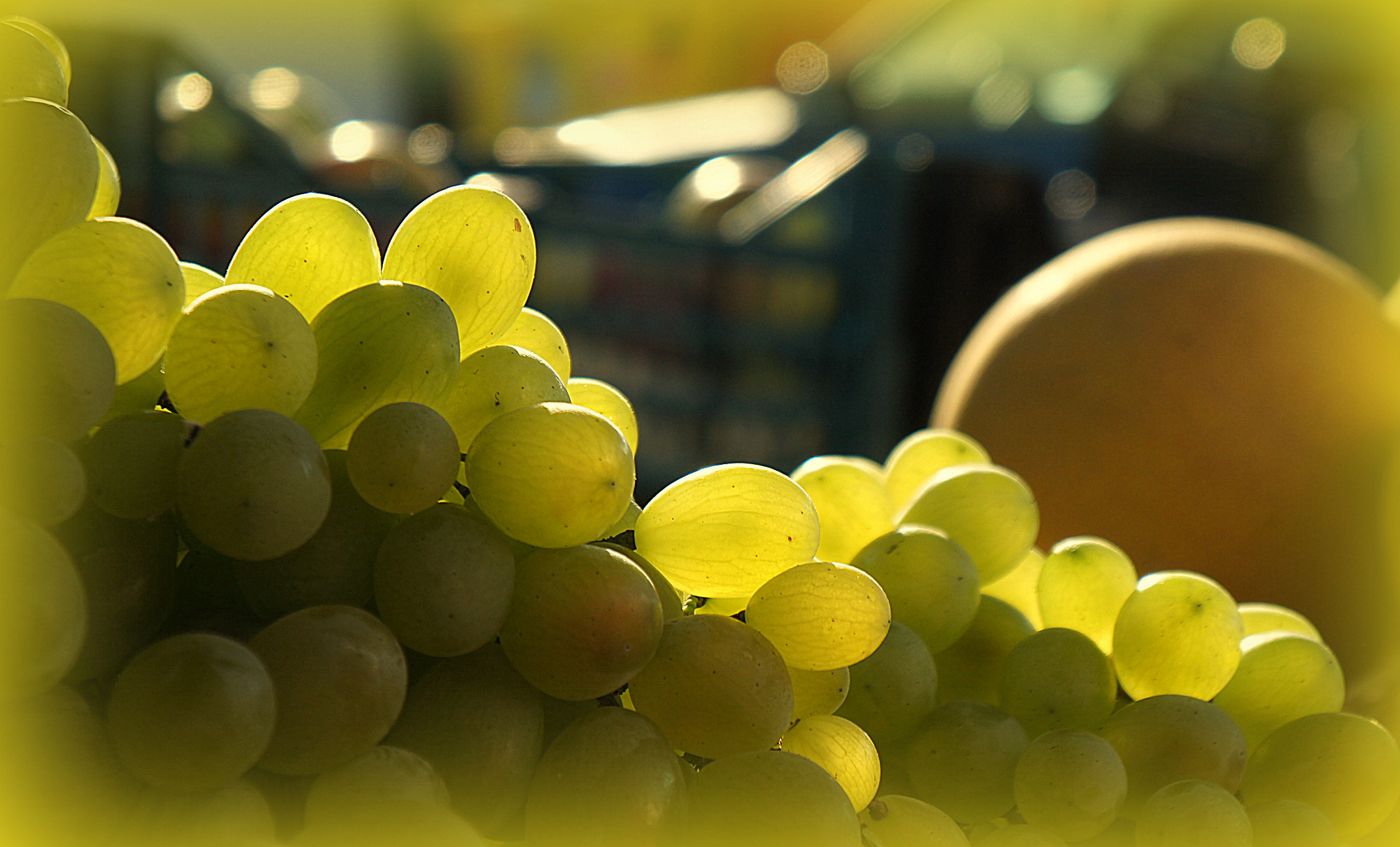 Sony Alpha NEX-C3 sample photo. Grape photography