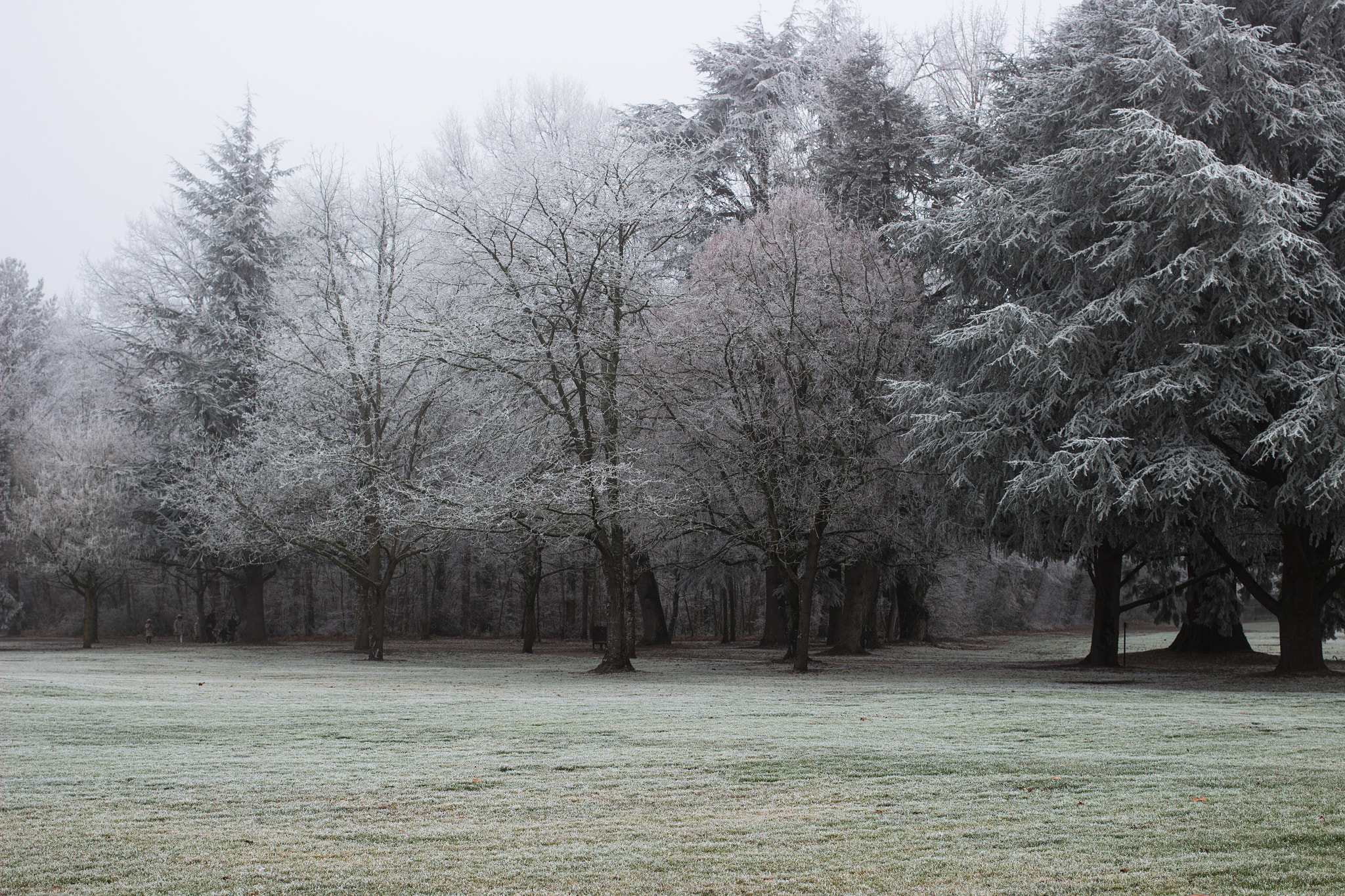 Canon EOS 100D (EOS Rebel SL1 / EOS Kiss X7) + Canon EF 40mm F2.8 STM sample photo. Snow at cheverny photography