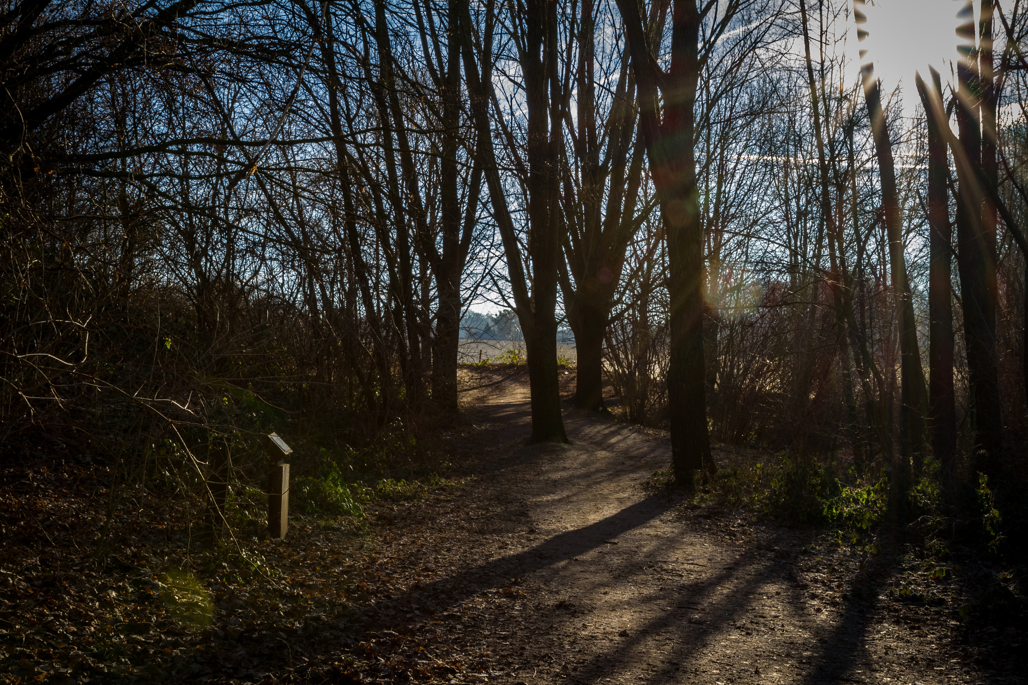 Canon EOS 7D sample photo. Wintersun in daniken 3 photography