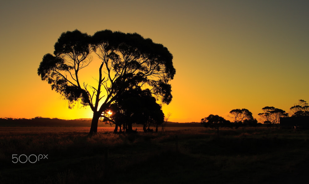 Canon EOS 60D sample photo. 7 mile beach rd sunset photography