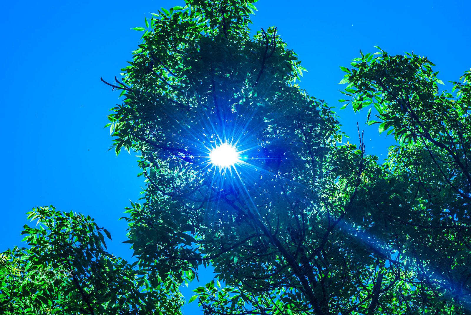 Sony Alpha DSLR-A330 + Sigma 70-300mm F4-5.6 DL Macro sample photo. A beautiful sky photography