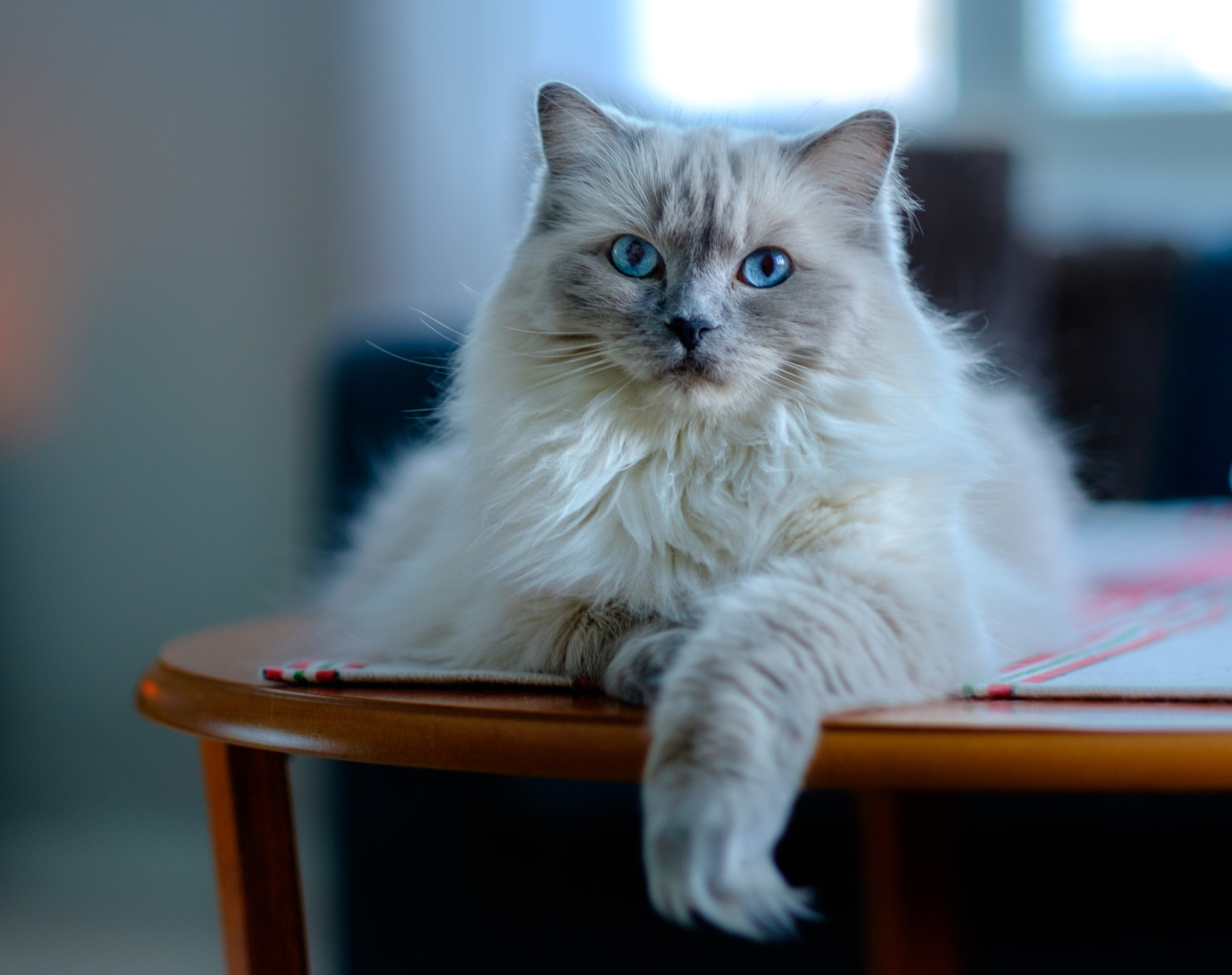 Fujifilm X-T10 + Fujifilm XF 56mm F1.2 R sample photo