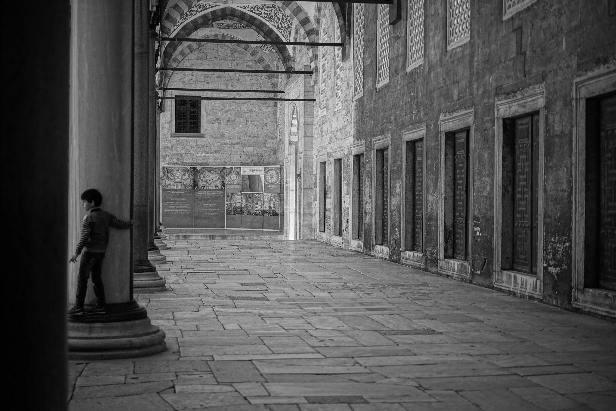 Sony a7R + Sony Sonnar T* FE 55mm F1.8 ZA sample photo. Yard photography