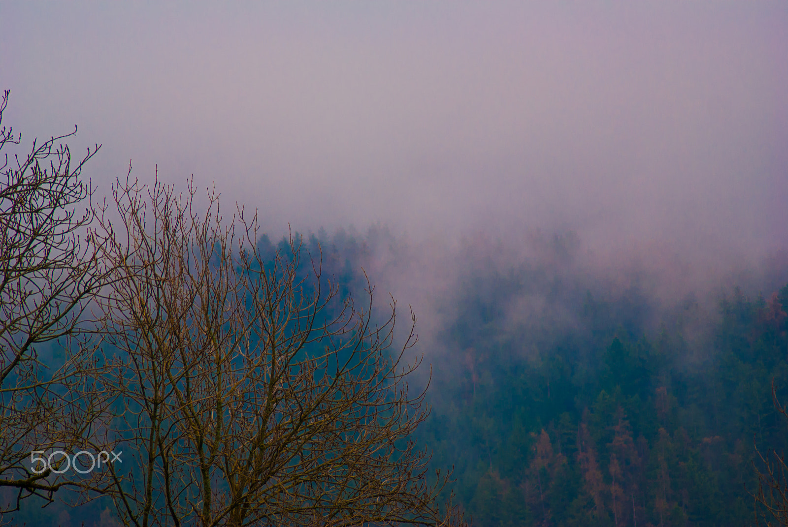 Sony Alpha DSLR-A330 + Sigma 70-300mm F4-5.6 DL Macro sample photo. A beautiful sky photography