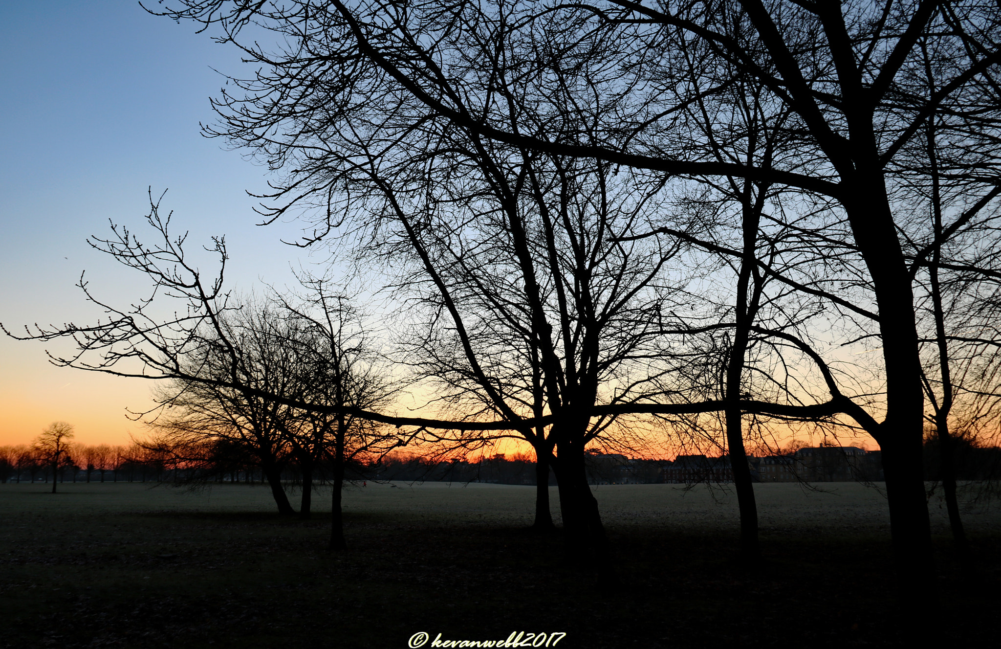 Canon EOS 760D (EOS Rebel T6s / EOS 8000D) sample photo. Early morning skyline photography