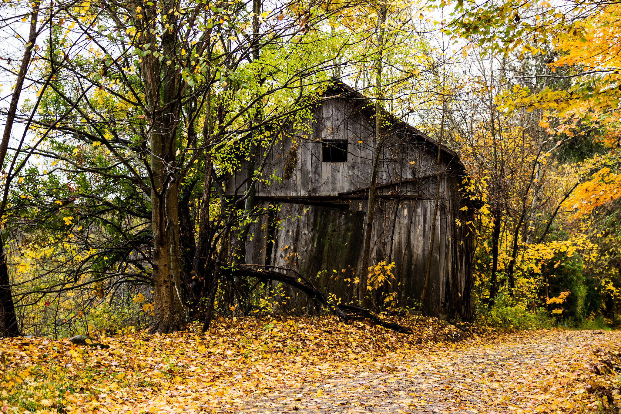 Canon EF-S 17-55mm F2.8 IS USM sample photo. Autumn barn photography