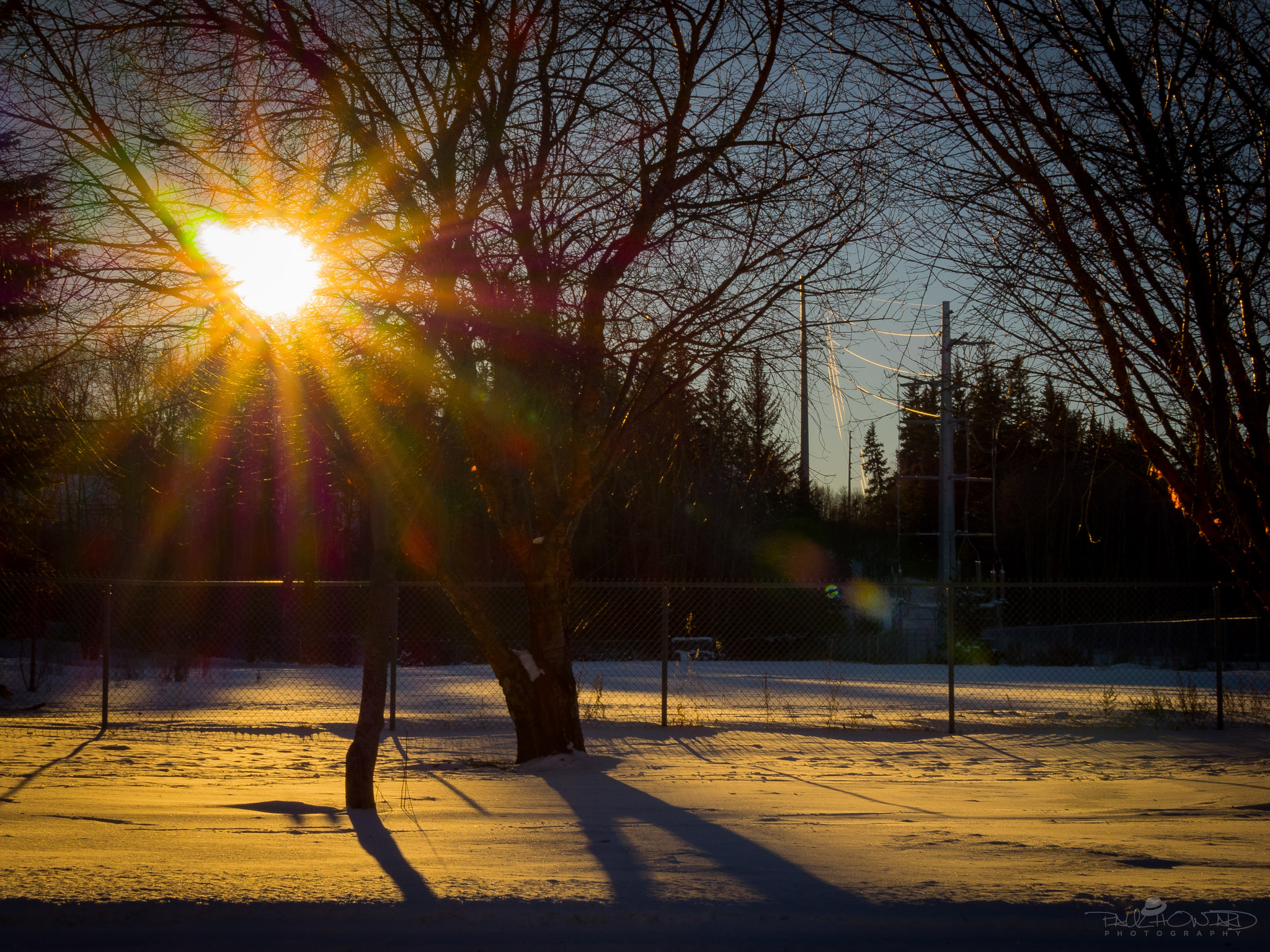 Panasonic Lumix G X Vario 35-100mm F2.8 OIS sample photo. Day 15: sunshine makes everything better photography