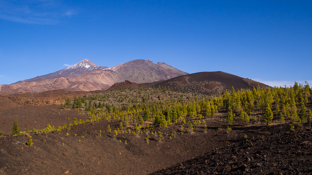Olympus OM-D E-M5 + Olympus M.Zuiko Digital 17mm F1.8 sample photo. Pico de teide photography