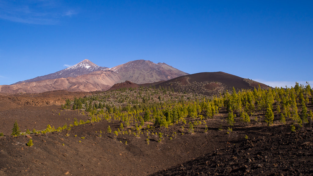 Olympus OM-D E-M5 sample photo. Pico de teide photography