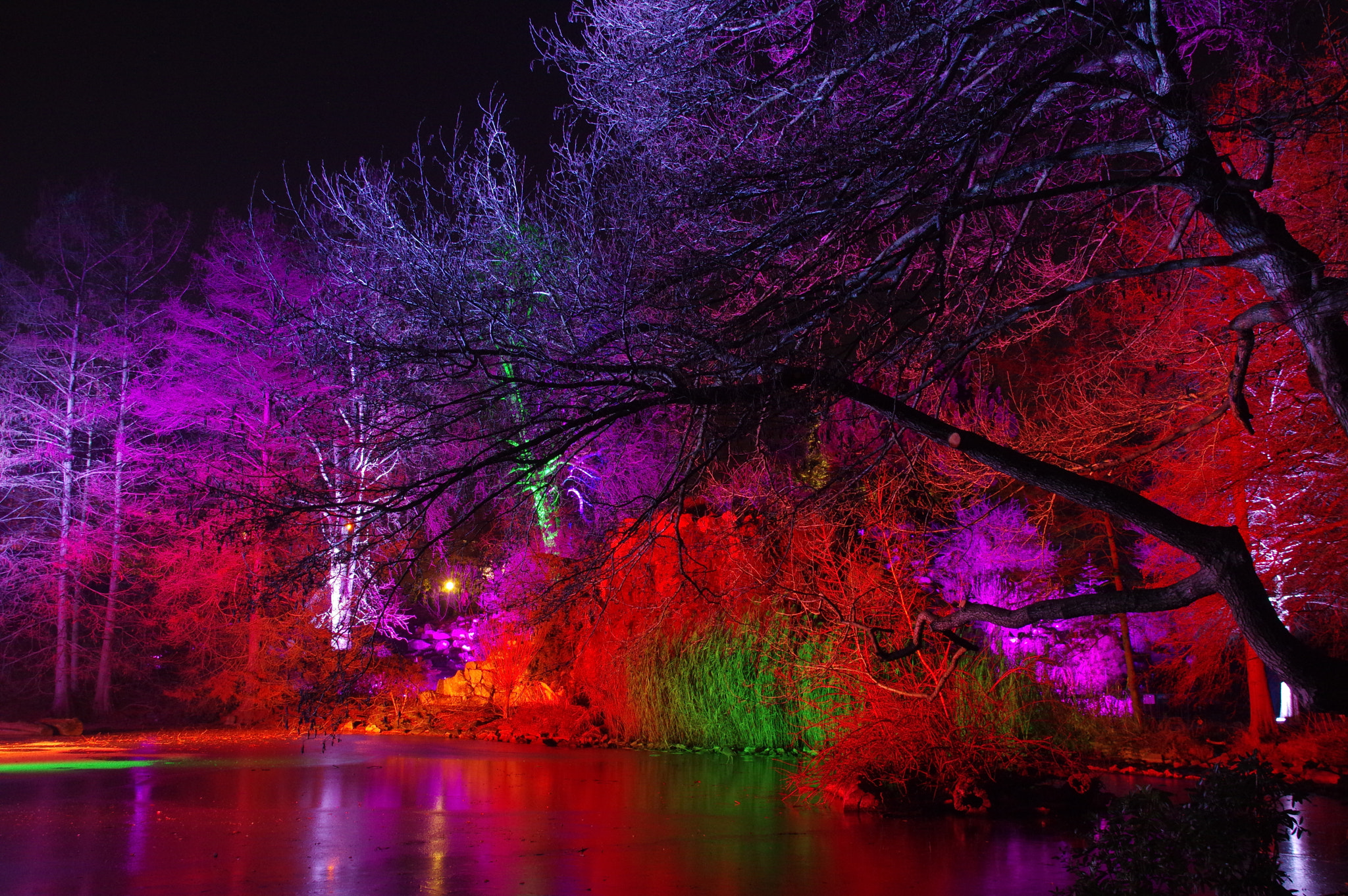 Sigma 18-200mm F3.5-6.3 DC sample photo. Winterlichter 2016/17 vi photography