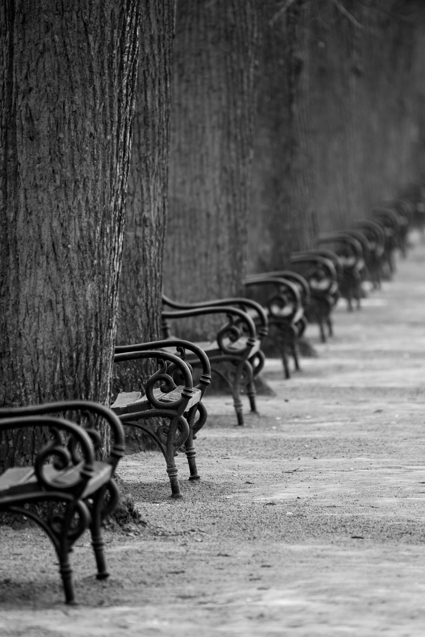 Fujifilm XF 100-400mm F4.5-5.6 R LM OIS WR sample photo. Benches photography