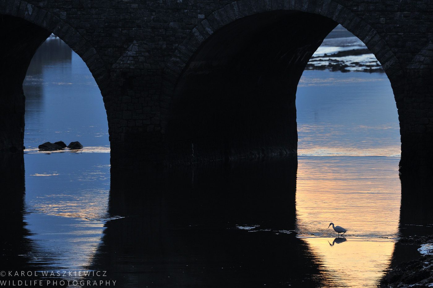Nikon AF-S Nikkor 200-500mm F5.6E ED VR sample photo. Life under the bridge photography