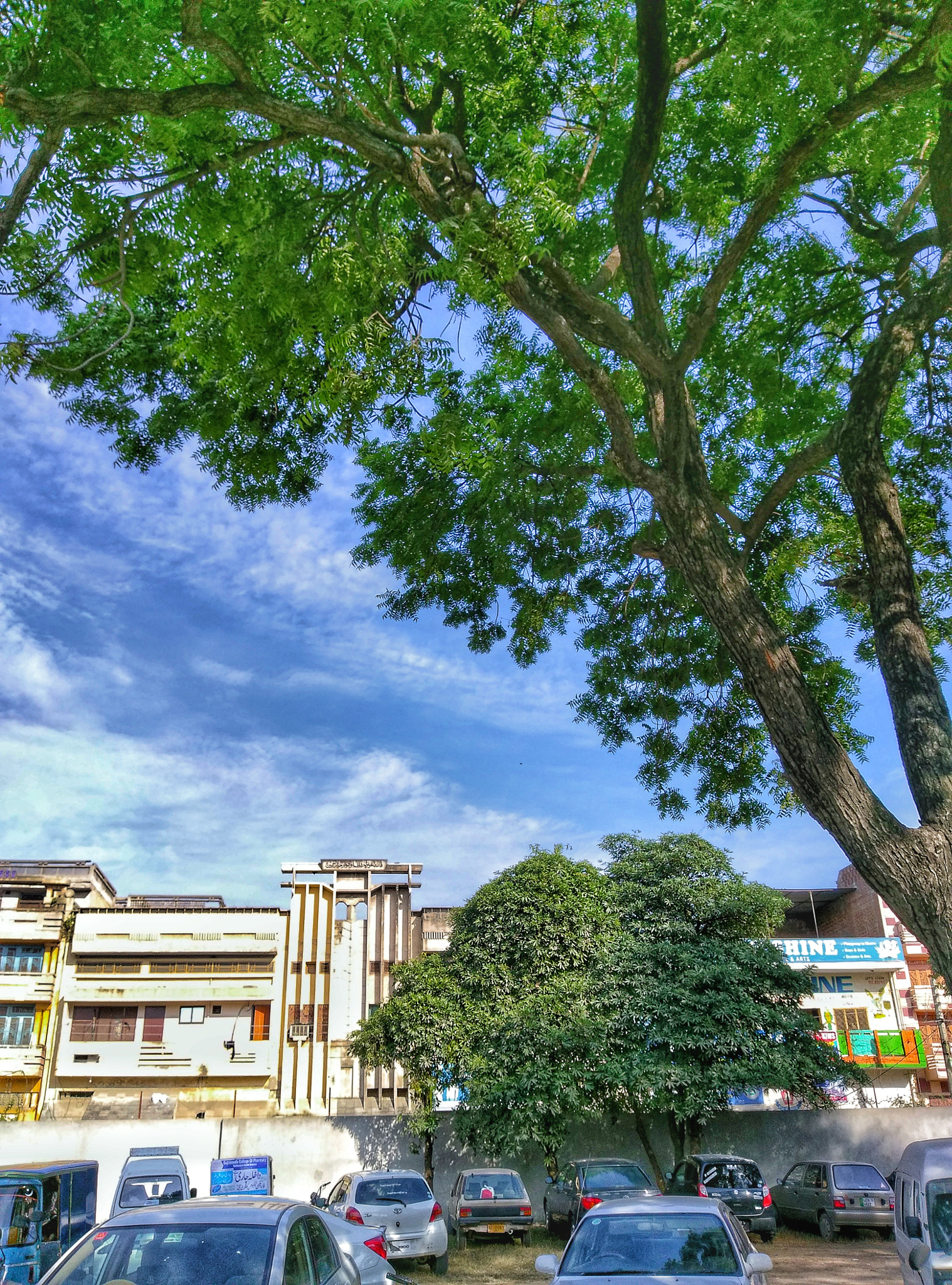 HTC ONE A9 sample photo. N@ture ! photography