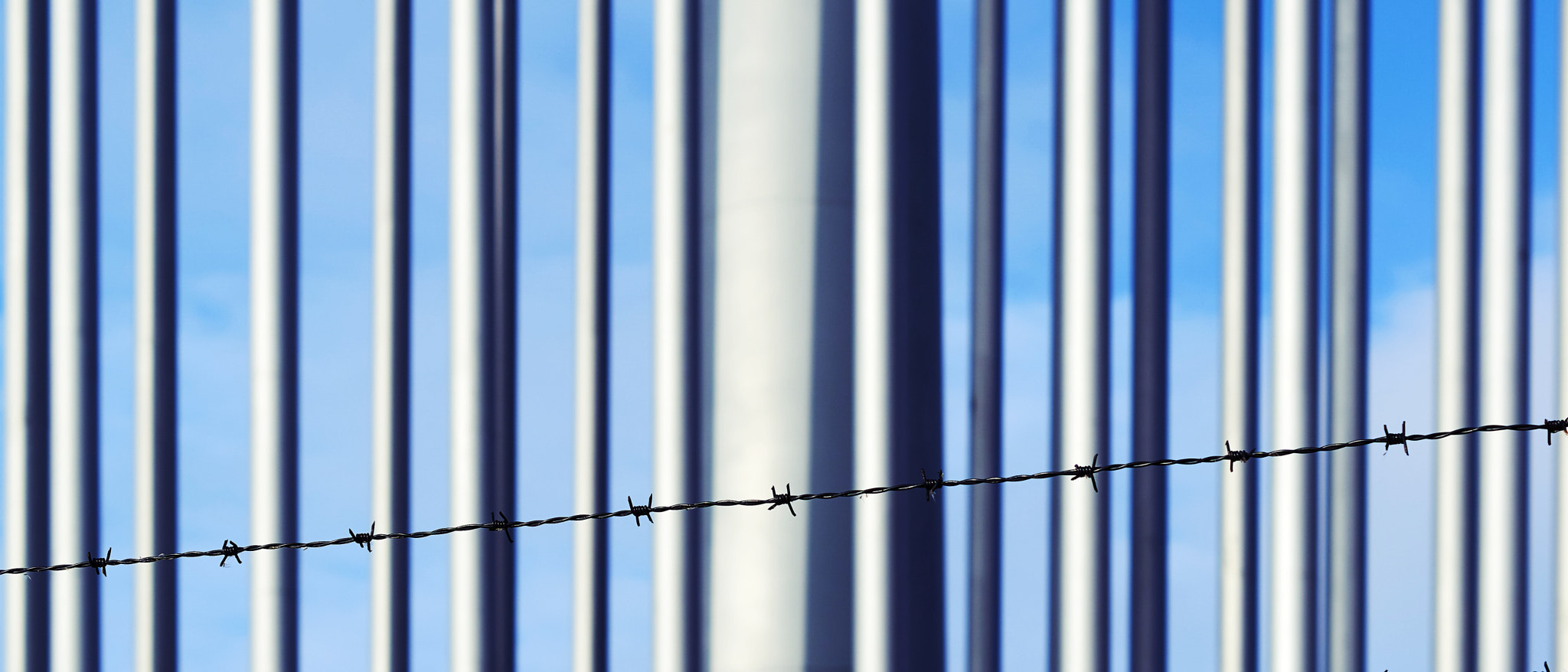 Sony ILCA-77M2 + Sony DT 50mm F1.8 SAM sample photo. Barbwire photography