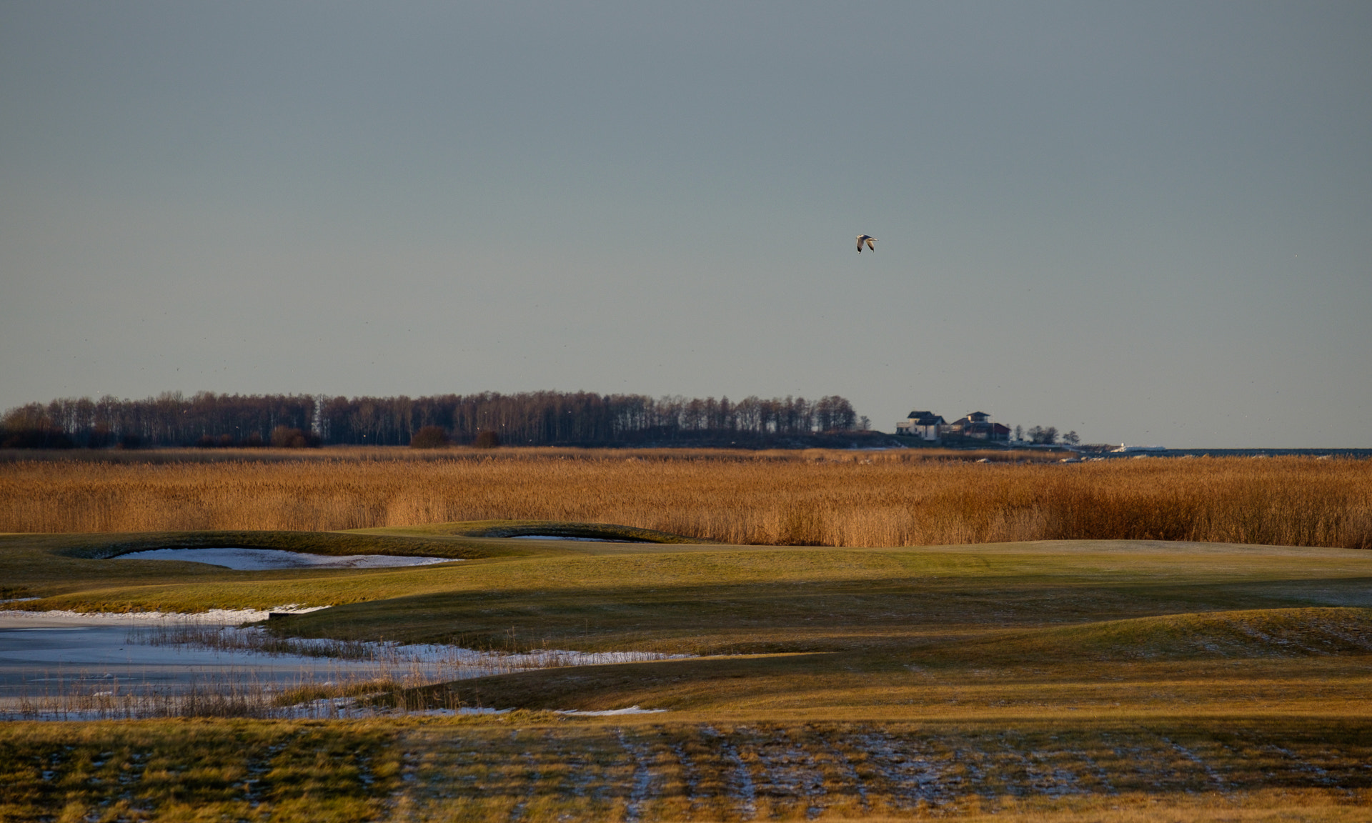 Fujifilm X-E2 + Fujifilm XF 55-200mm F3.5-4.8 R LM OIS sample photo. The bird photography