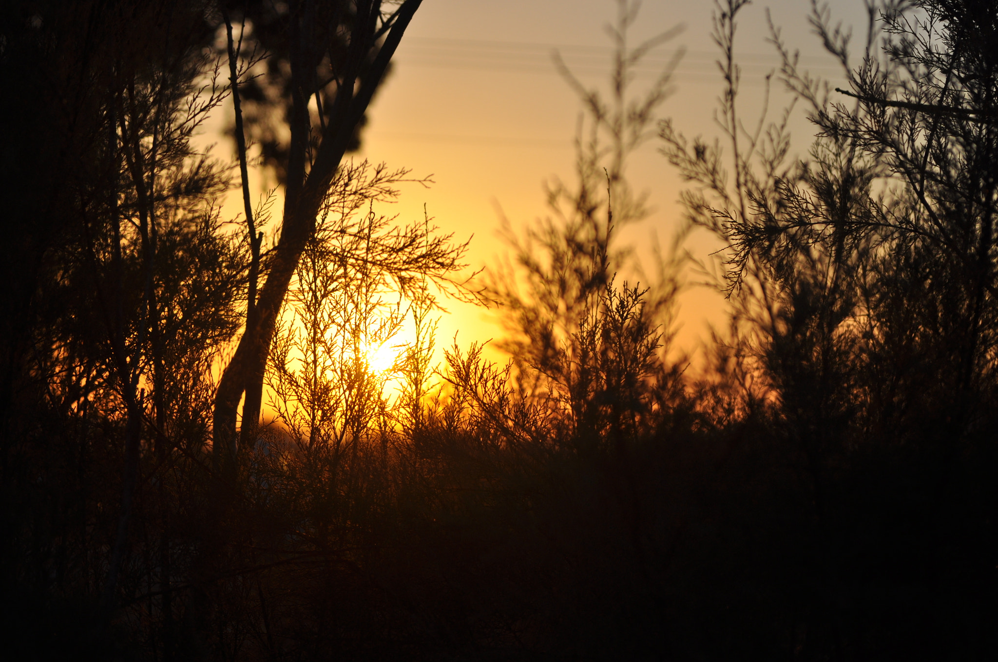 AF Zoom-Nikkor 35-70mm f/3.3-4.5 sample photo. Sunset photography