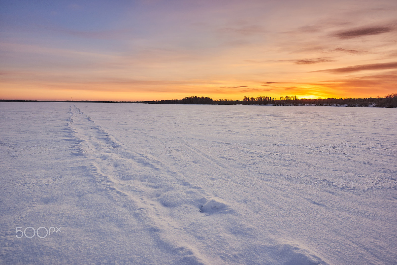 Nikon AF-S Nikkor 16-35mm F4G ED VR sample photo. Frozen race track photography