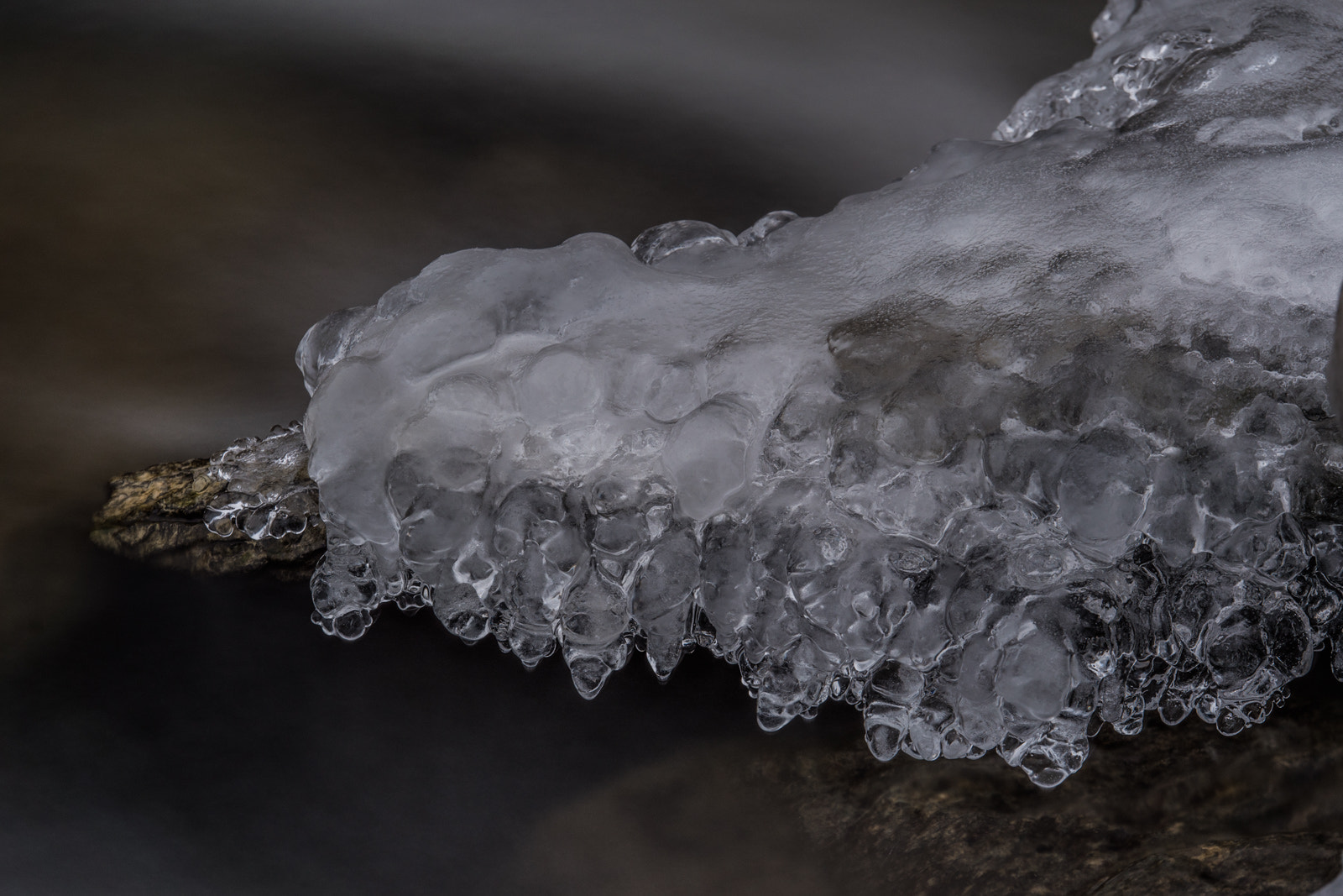 Panasonic Lumix G X Vario 35-100mm F2.8 OIS sample photo. Cold as ice photography