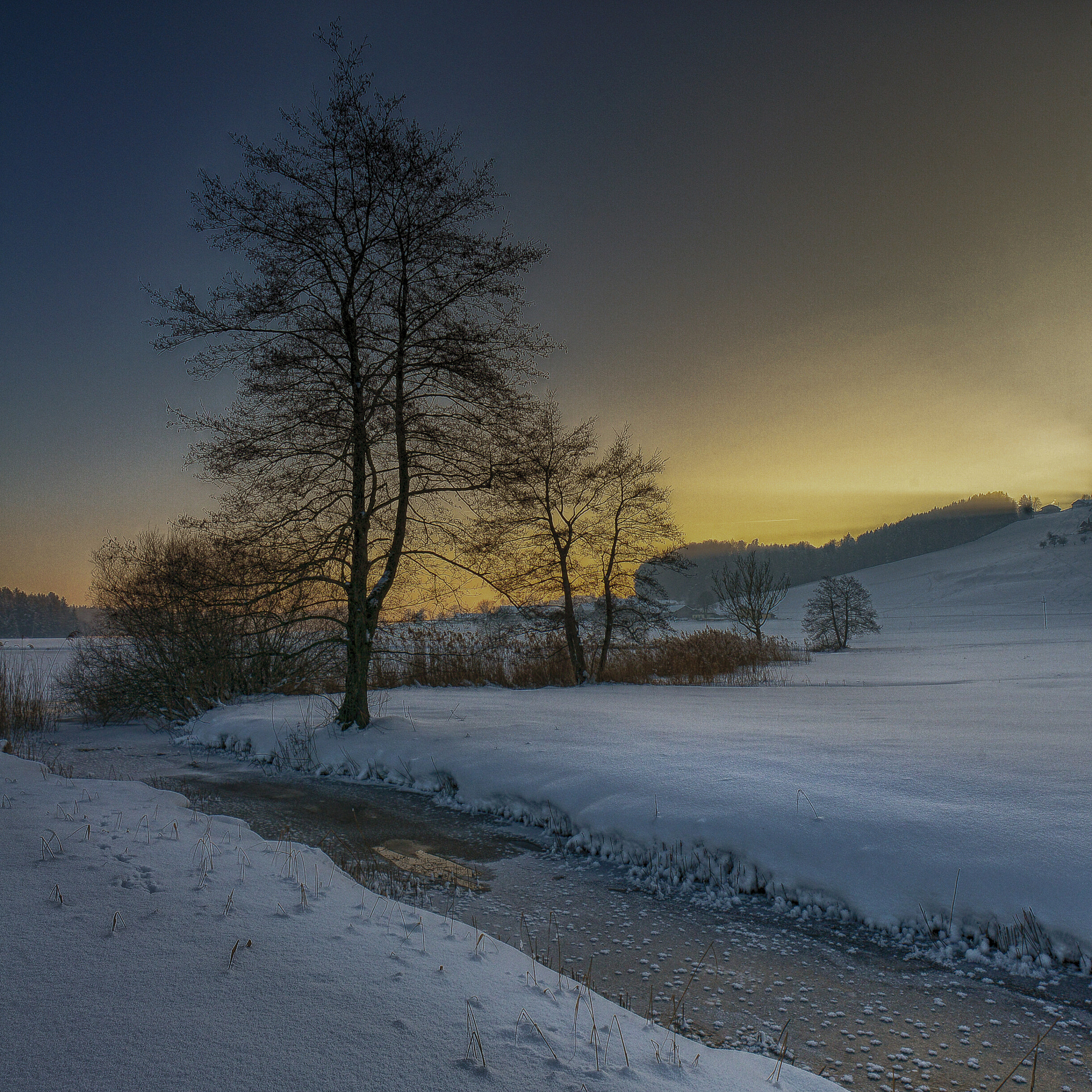Nikon D800 sample photo. ++winterabend++ photography