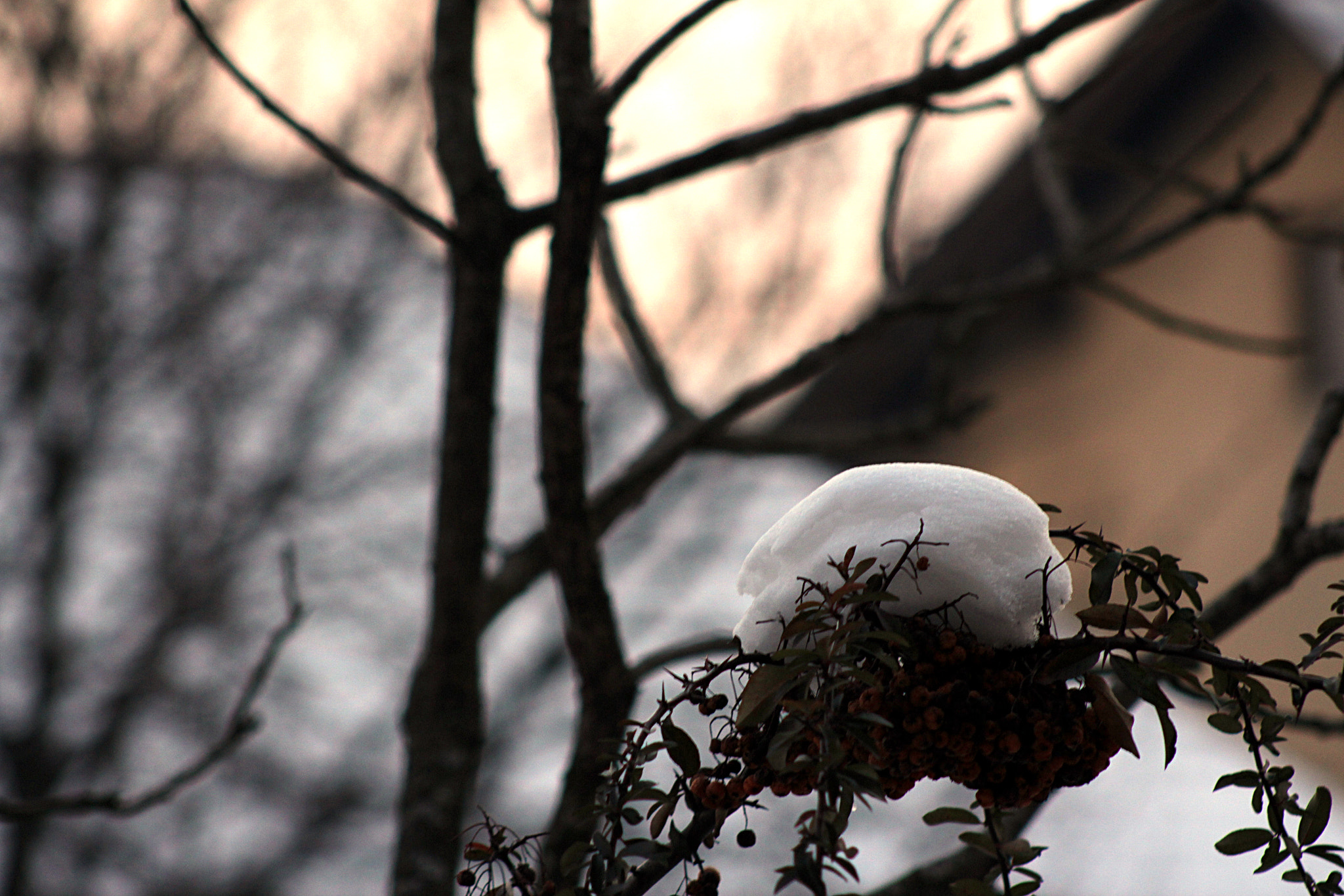 Canon EOS 700D (EOS Rebel T5i / EOS Kiss X7i) + EF75-300mm f/4-5.6 sample photo. Snow photography