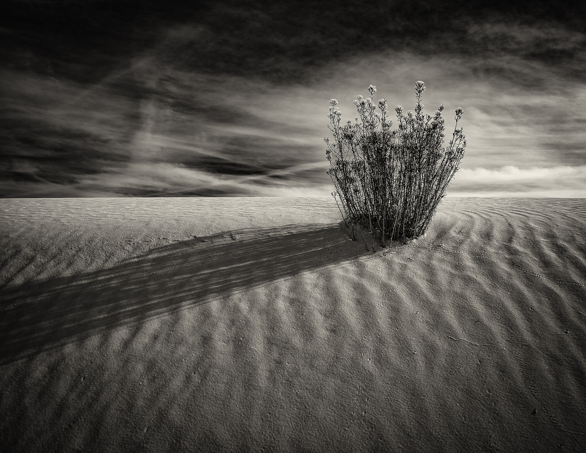 Nikon D810 + Nikon PC-E Nikkor 24mm F3.5D ED Tilt-Shift sample photo. Shadows in the sands photography