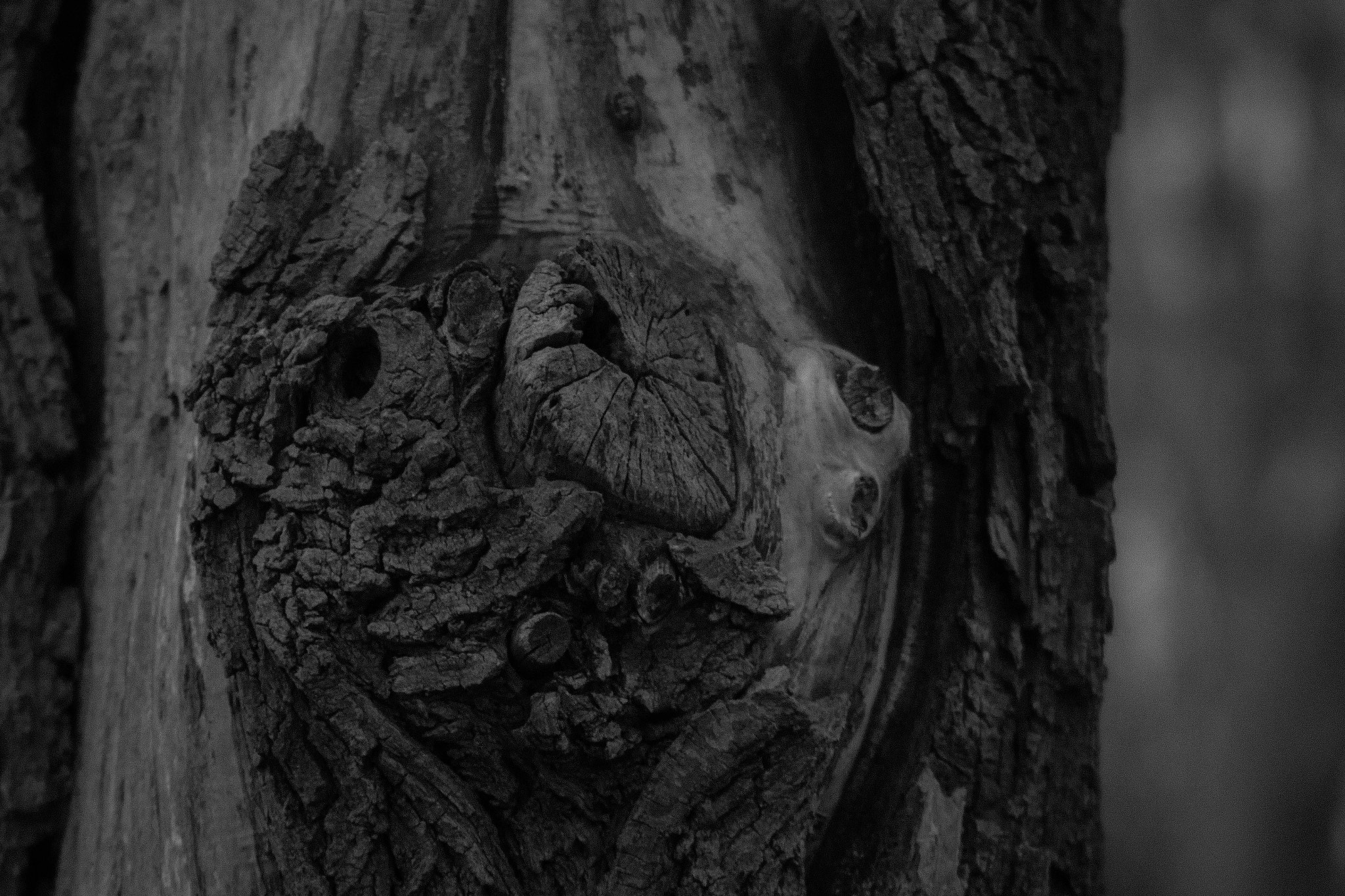 Canon EF 70-210mm f/3.5-4.5 USM sample photo. Wooden faces iv photography