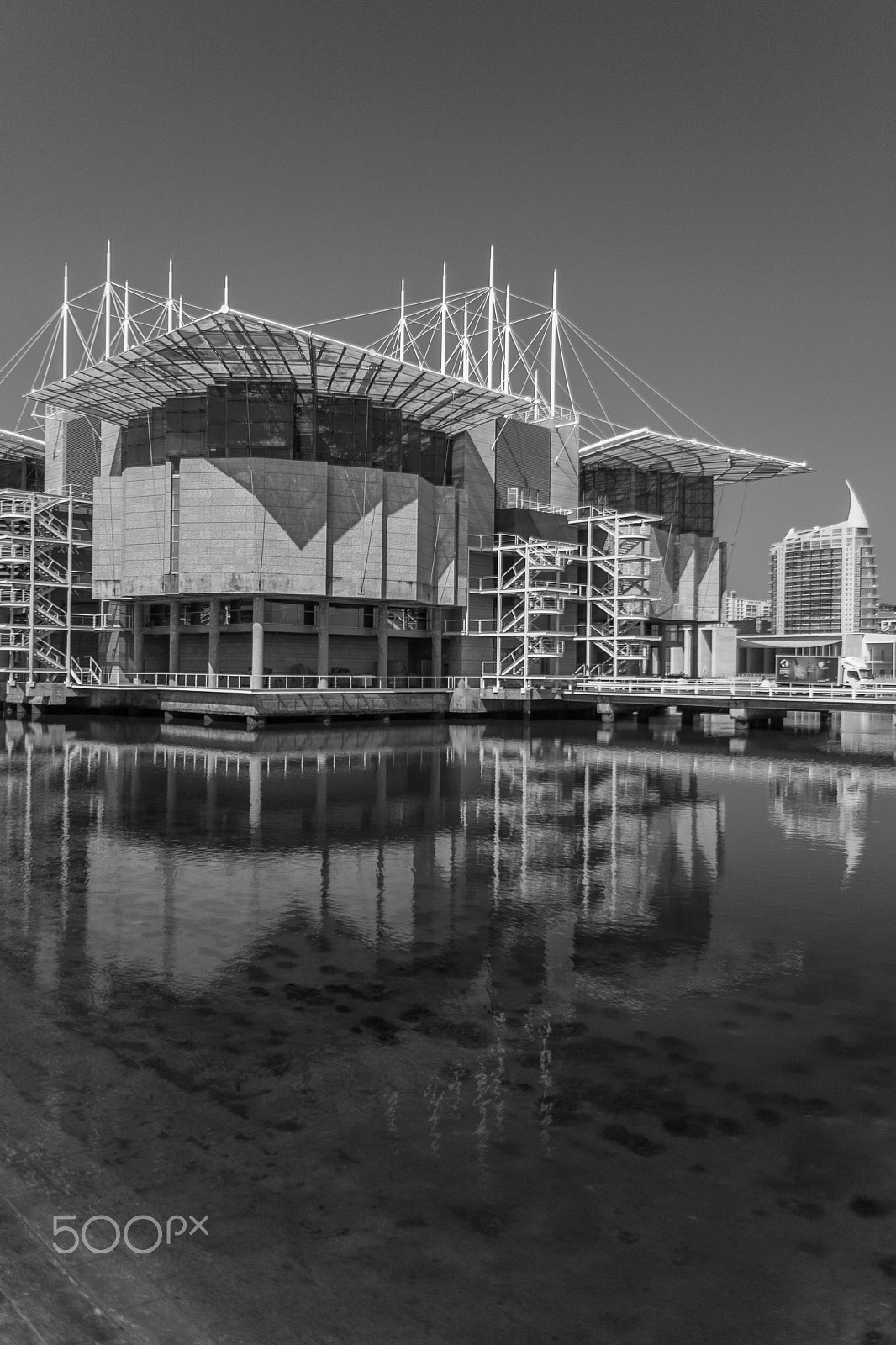 Sigma 18-50mm F2.8-4.5 DC OS HSM sample photo. Lisbon oceanarium photography