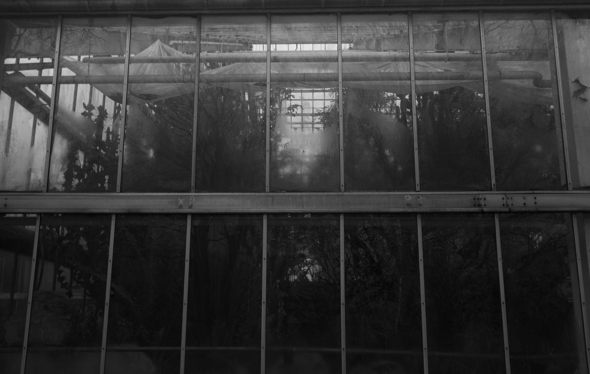 Tokina AT-X Pro 12-24mm F4 (IF) DX sample photo. Reflection photography