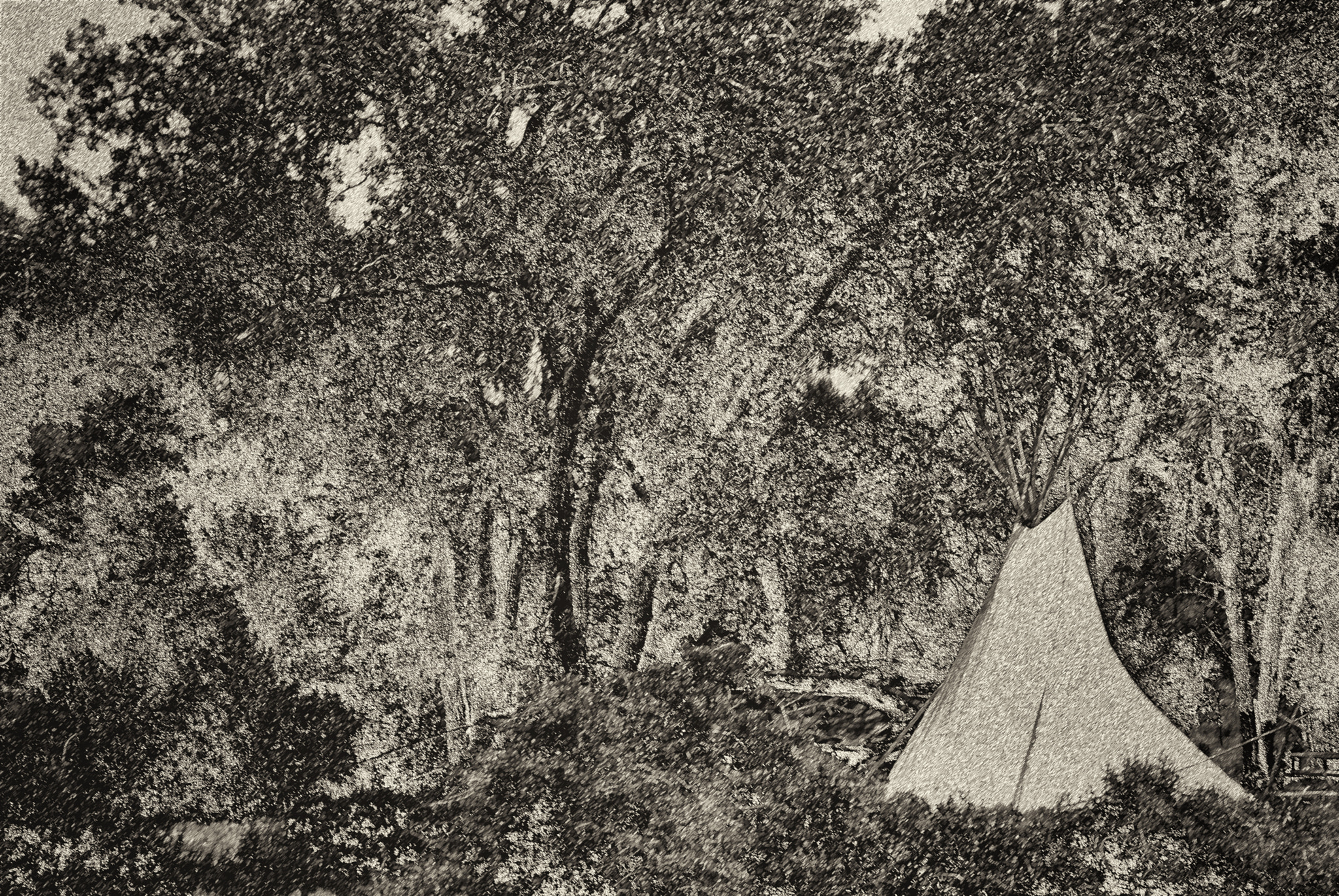 Nikon D200 sample photo. Native american tipi, washakie, wyoming photography